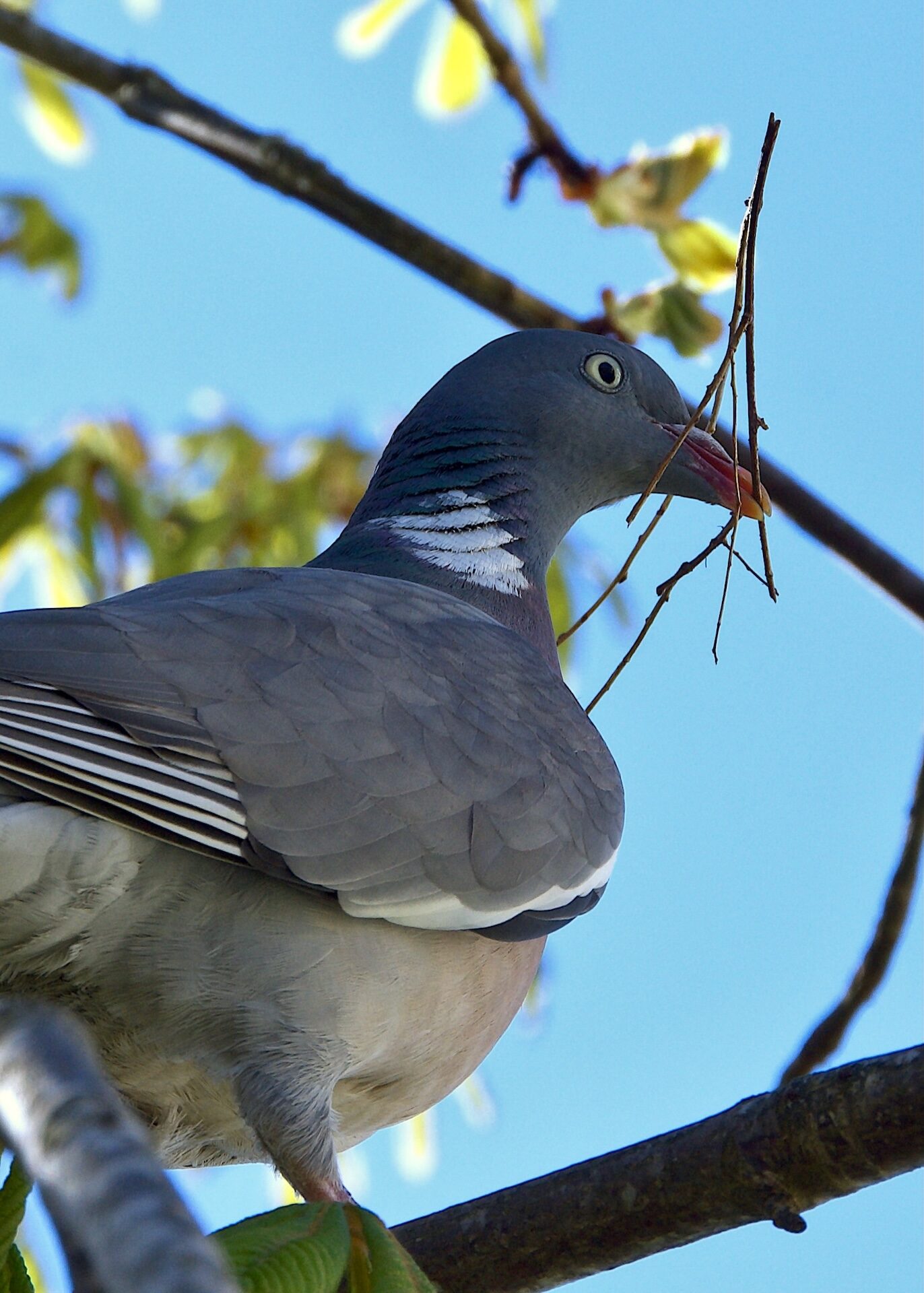 Valokuvaaja: Lasse Rokka Valokuvaaja: Lasse Rokka