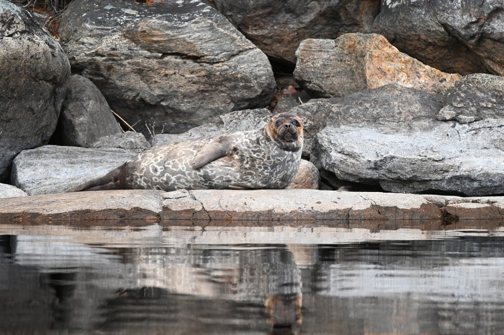 Valokuvaaja: Maarit Siitonen