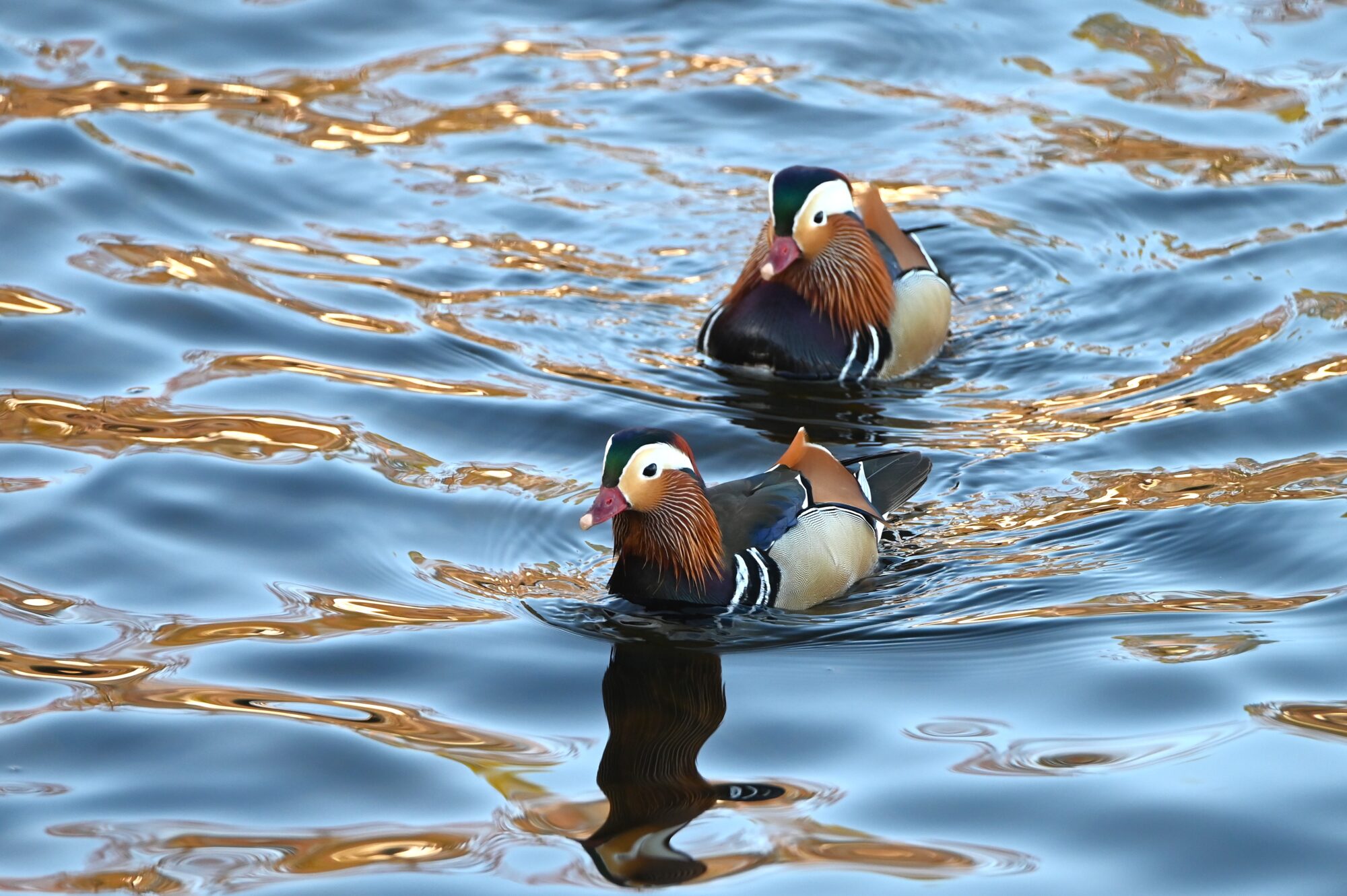 Valokuvaaja: Maarit Siitonen