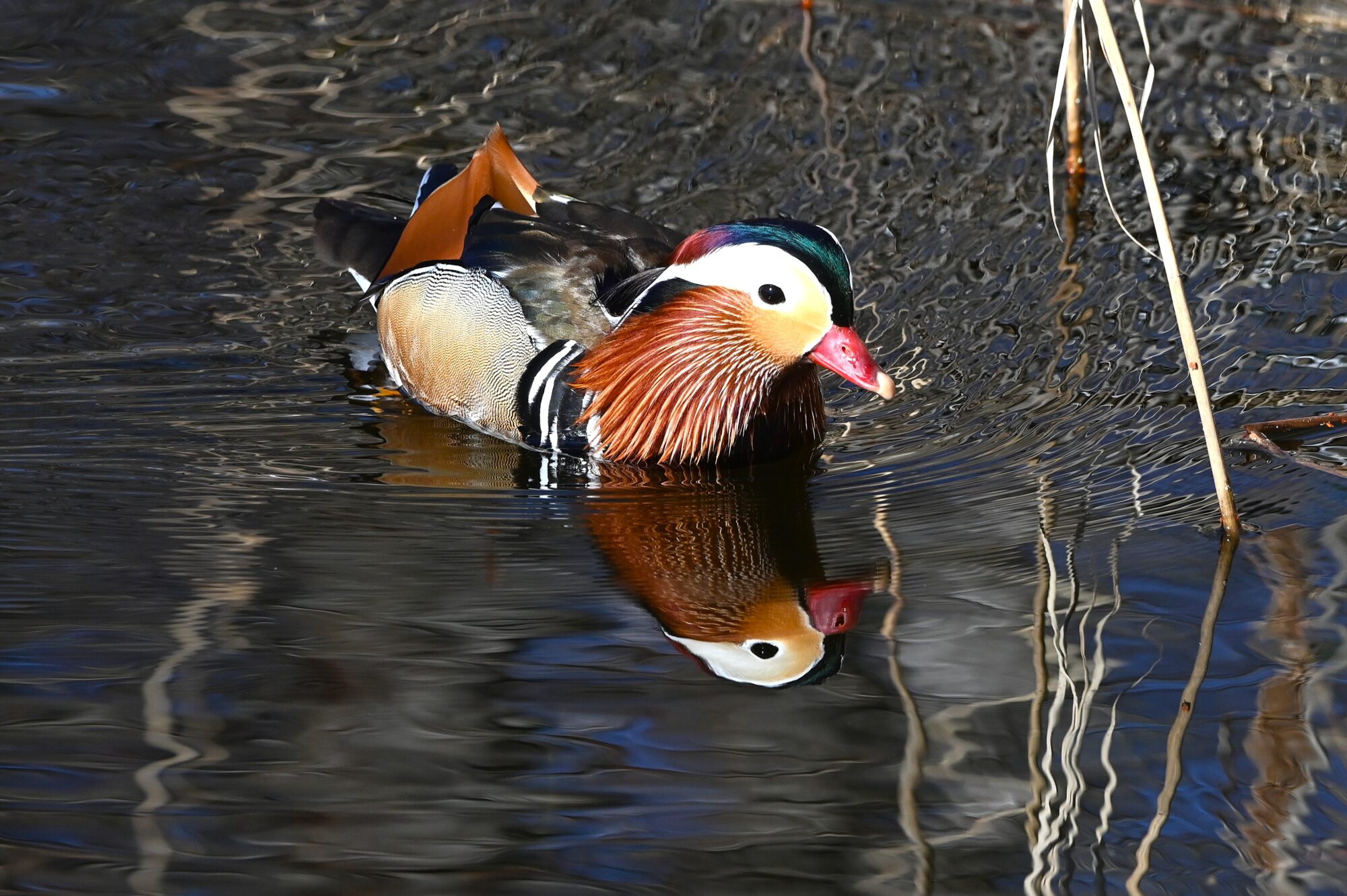 Valokuvaaja: Maarit Siitonen