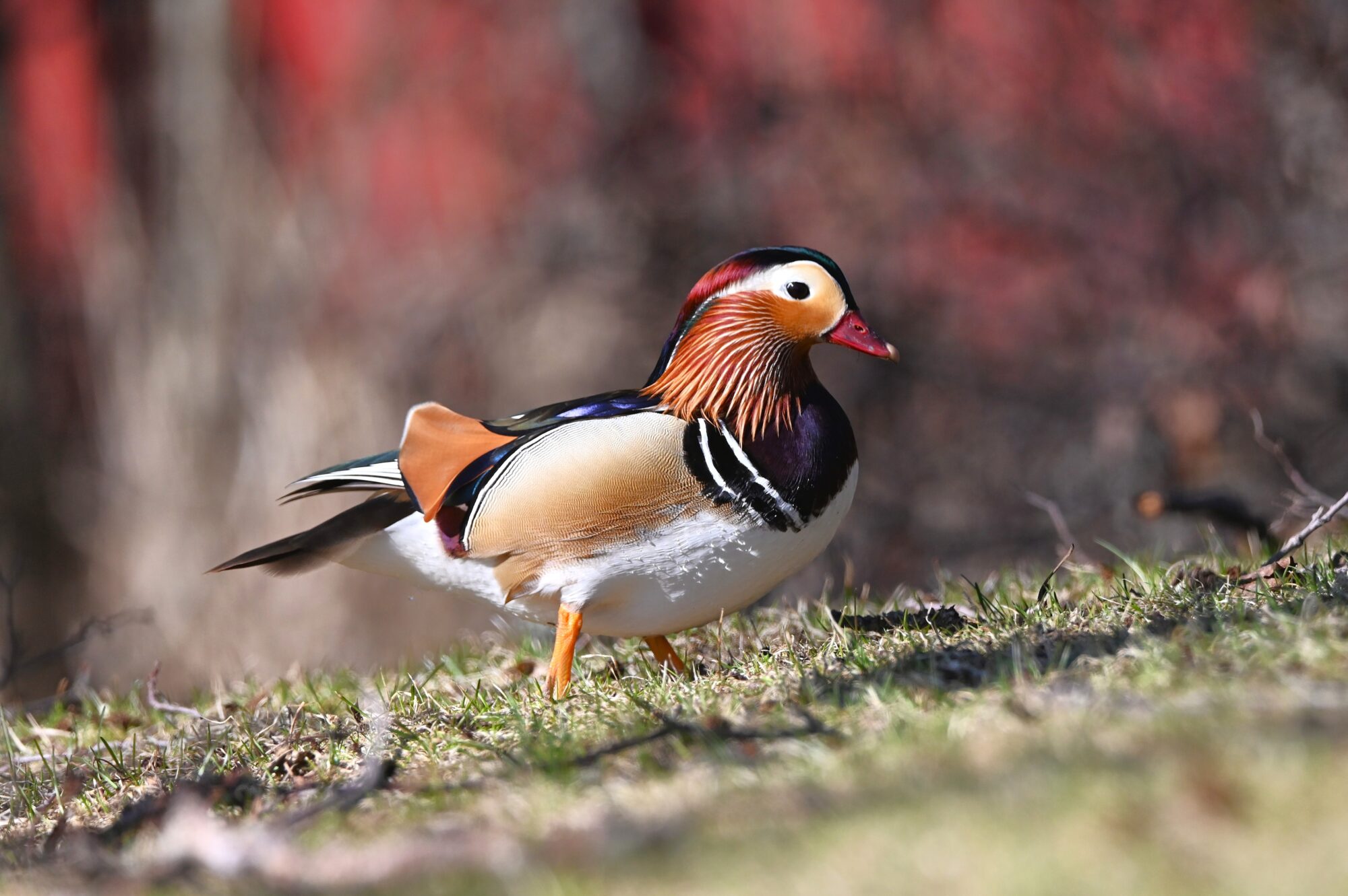 Valokuvaaja: Maarit Siitonen