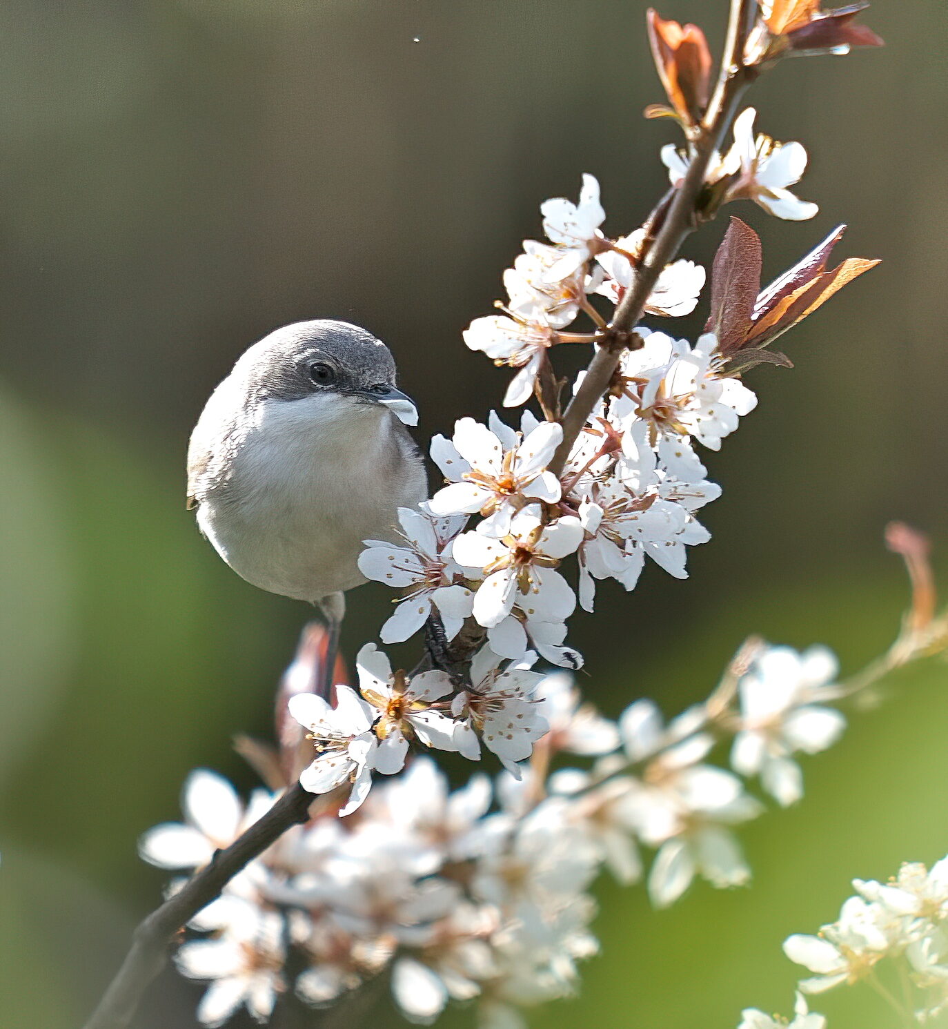 Valokuvaaja: Matti Kytö