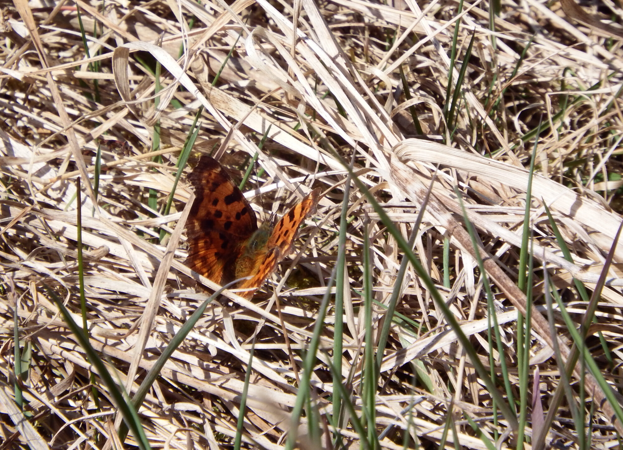 Valokuvaaja: Toni Asikainen Valokuvaaja: Toni Asikainen