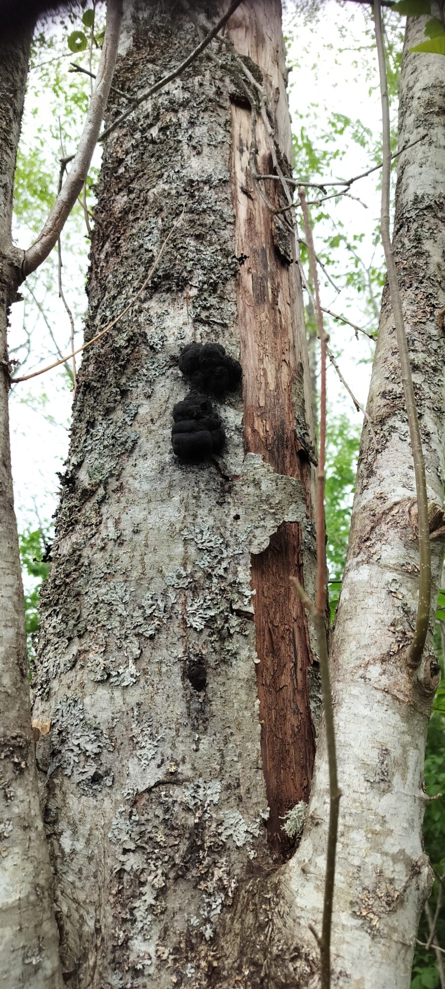 Valokuvaaja: Pasi Rusanen