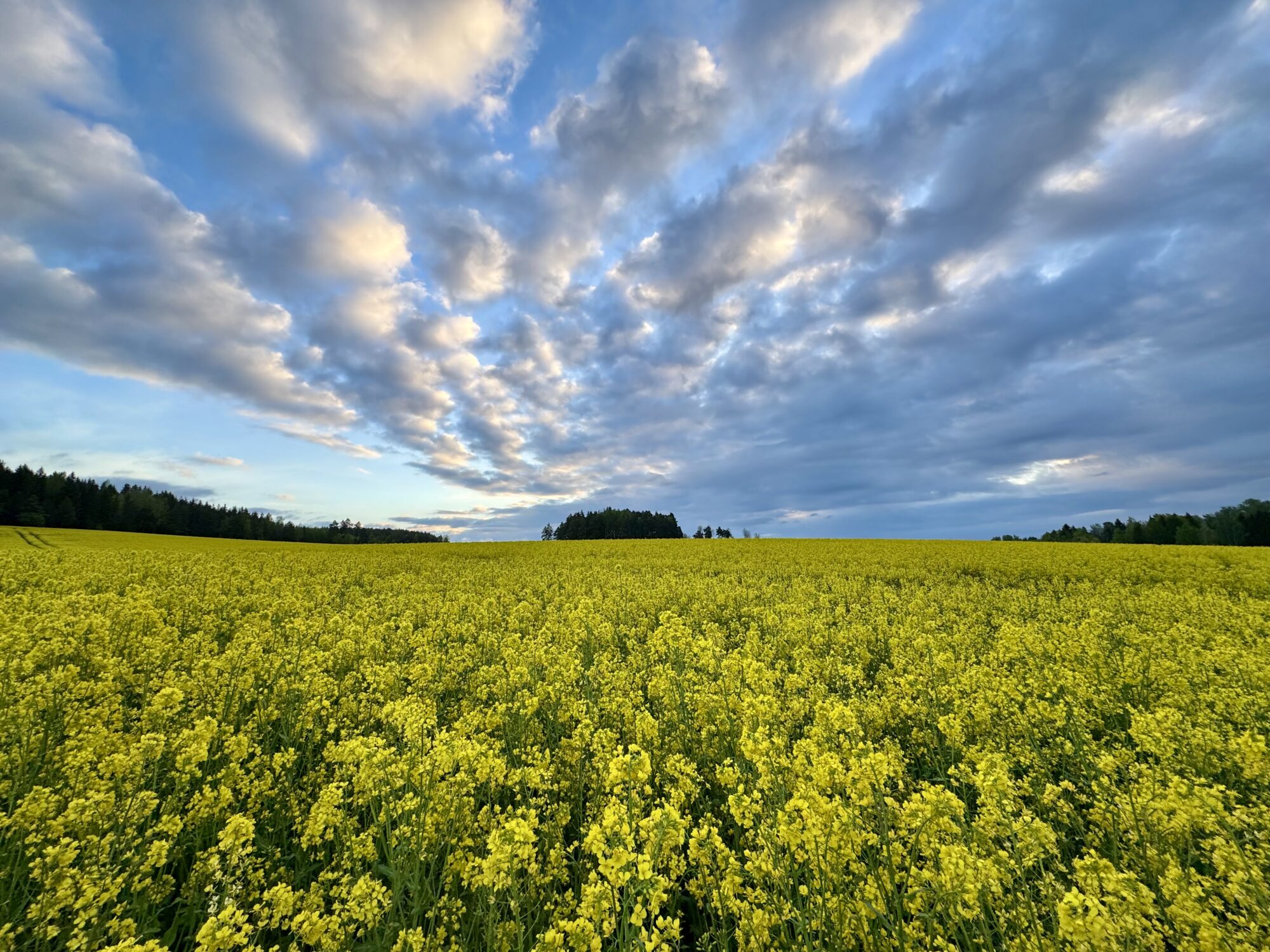 Valokuvaaja: Juhani Peltonen