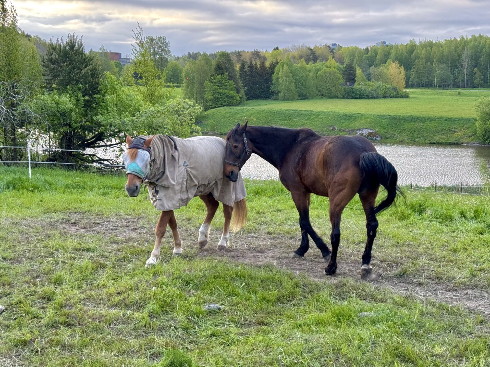 Valokuvaaja: Juhani Peltonen