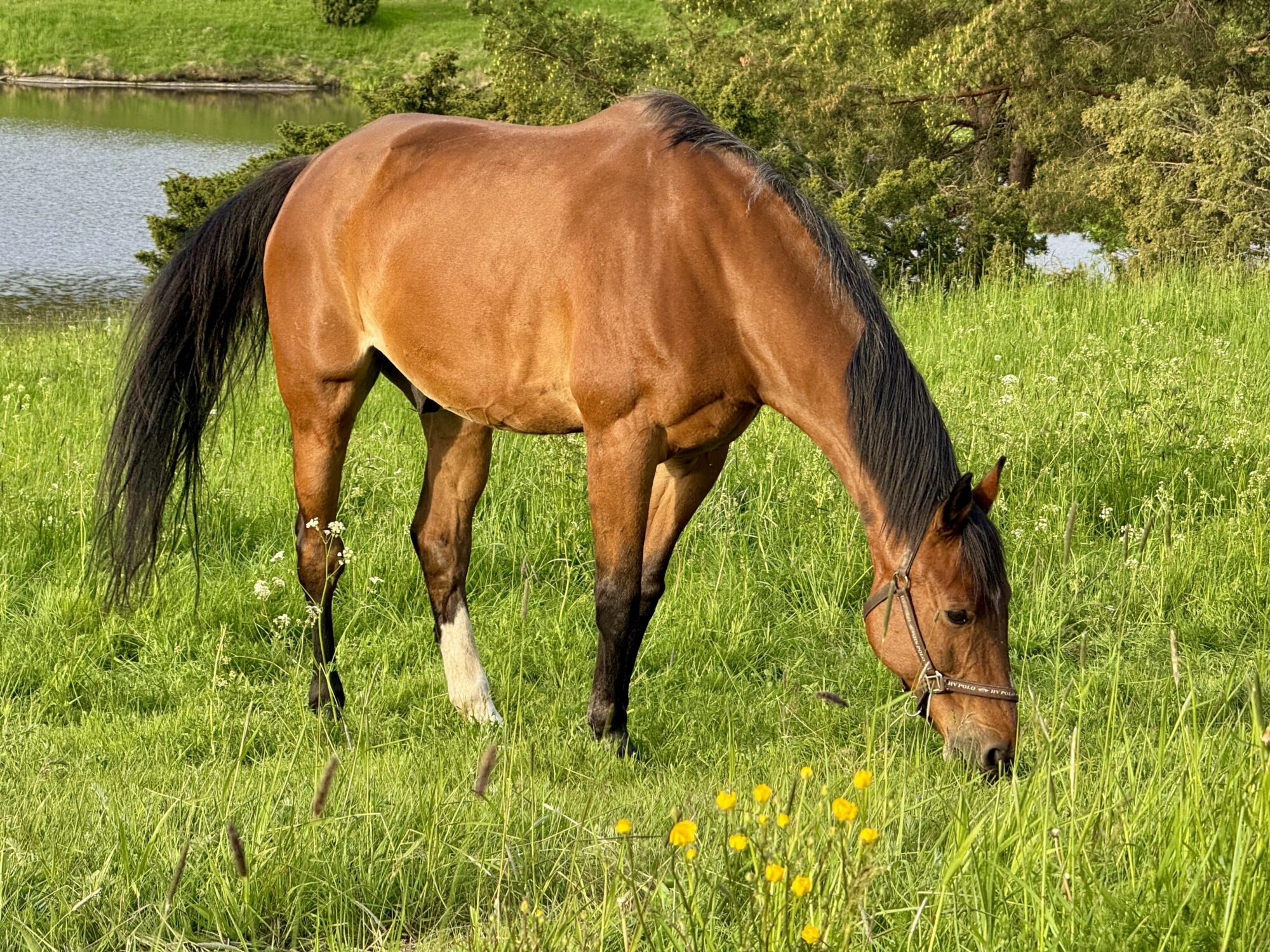 Valokuvaaja: Juhani Peltonen