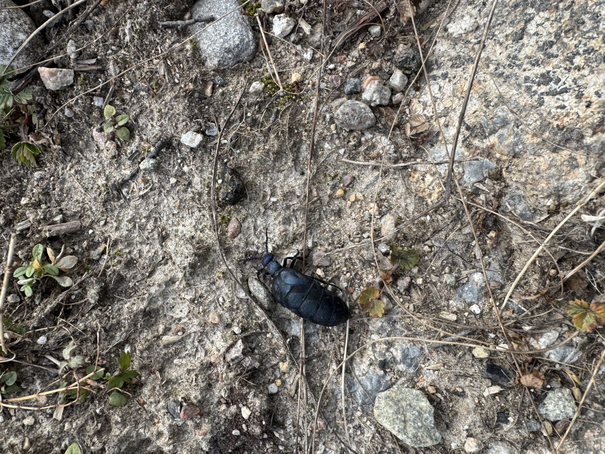 Valokuvaaja: Timo Gröhn