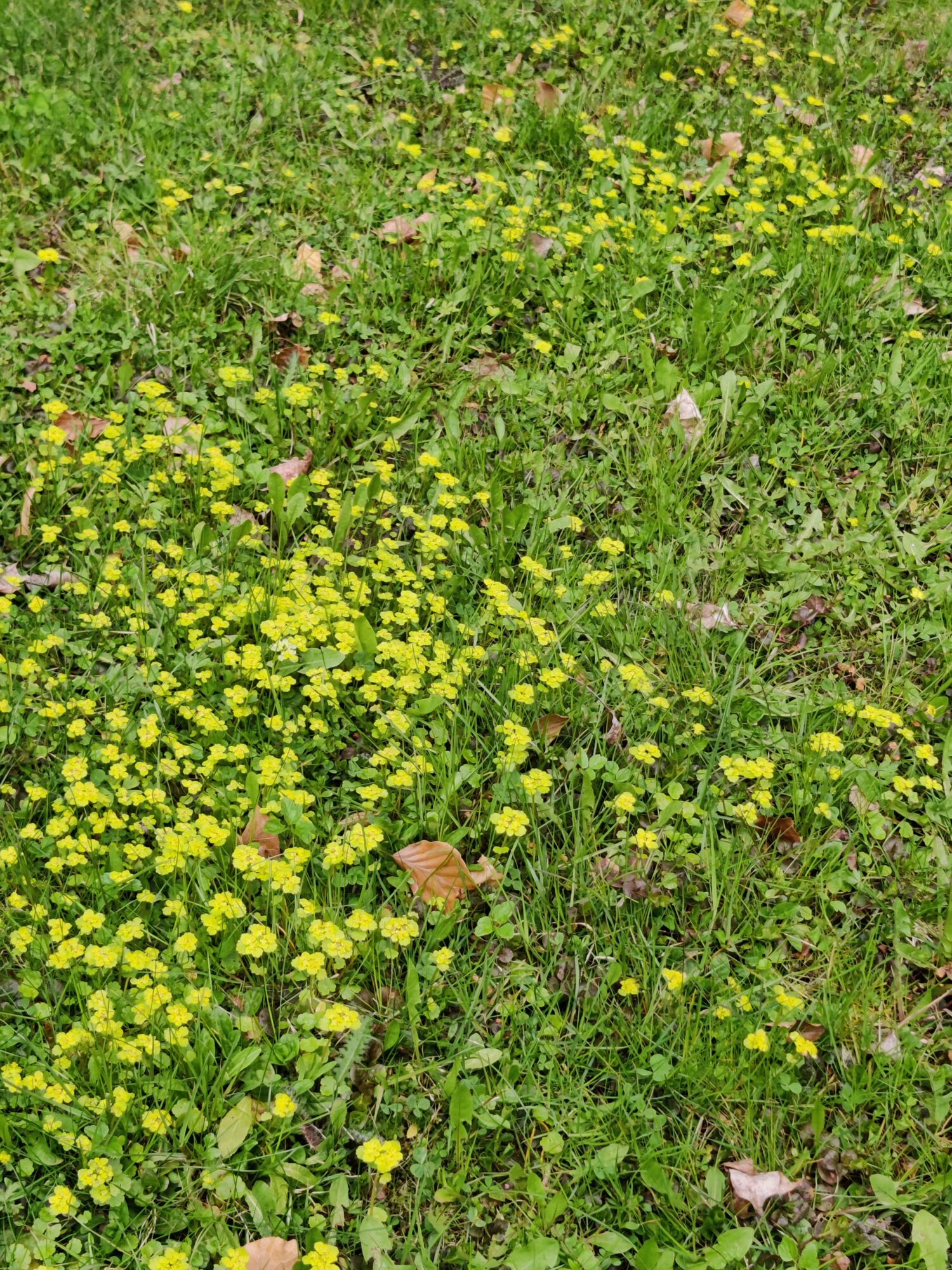 Valokuvaaja: Maria Hämäläinen