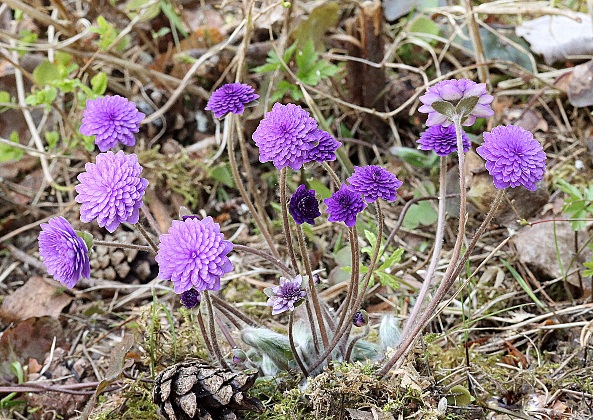 Valokuvaaja: Hannu Rasiranta