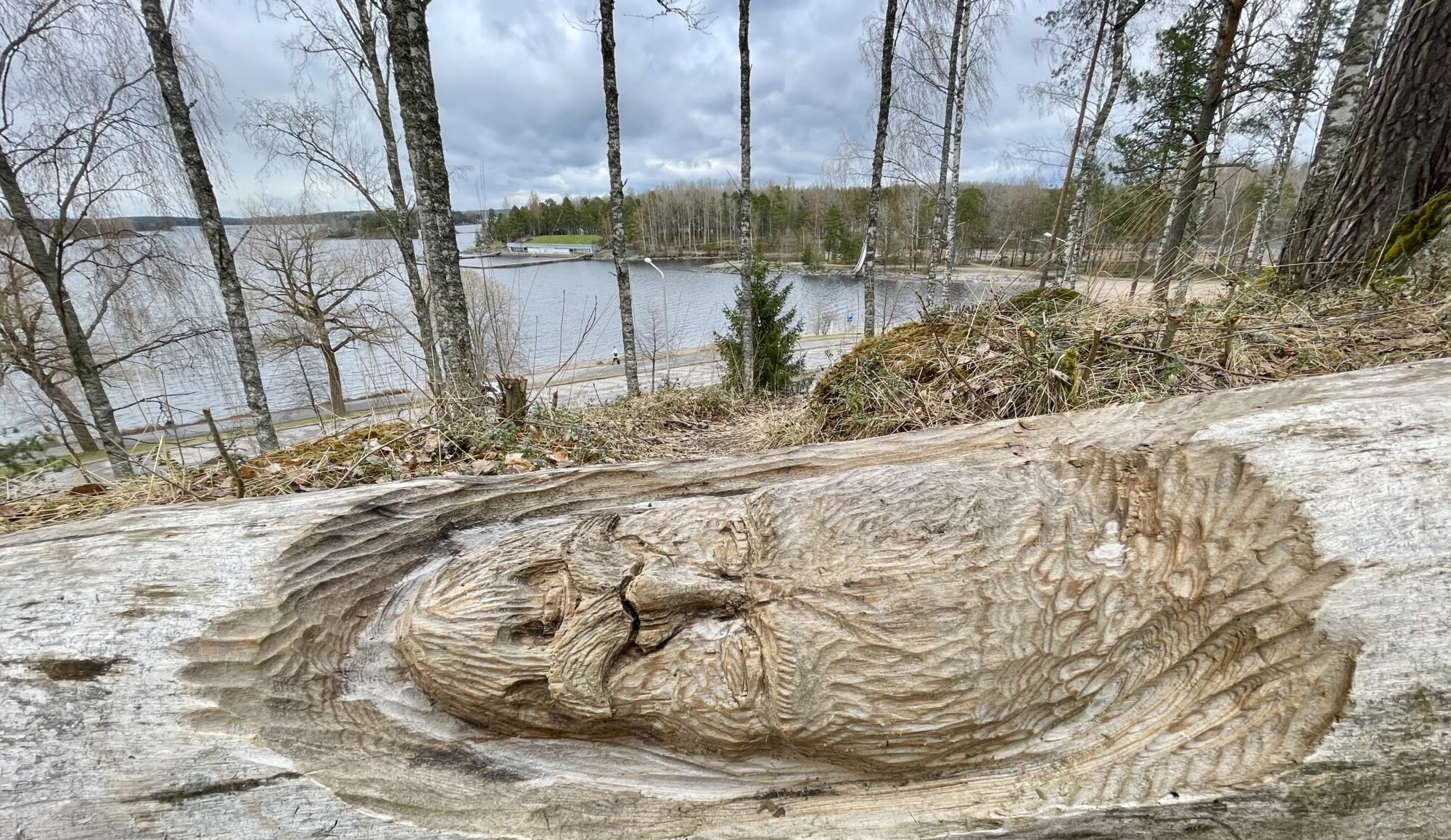 Valokuvaaja: Liisa Niiva-Korpela