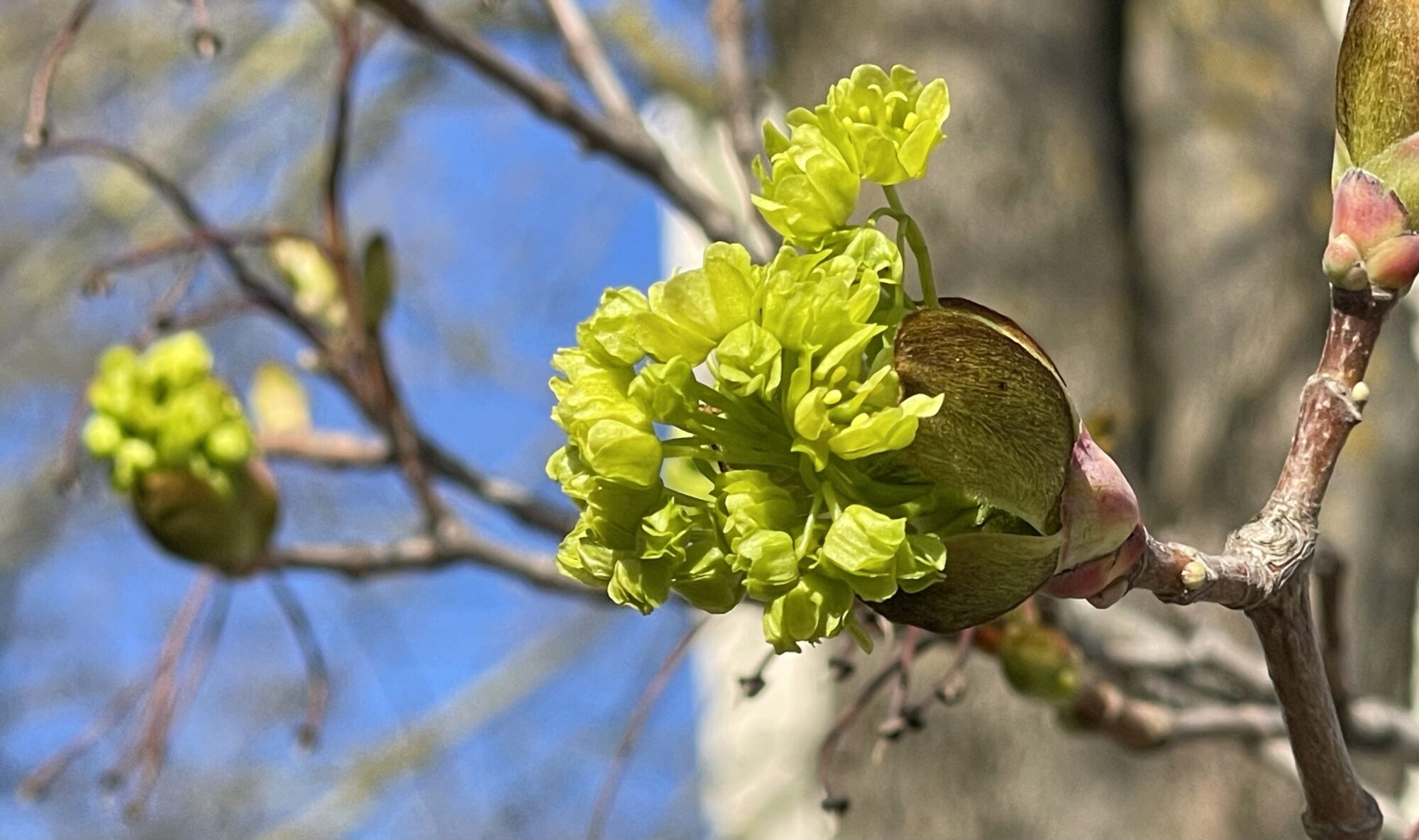Valokuvaaja: Liisa Niiva-Korpela