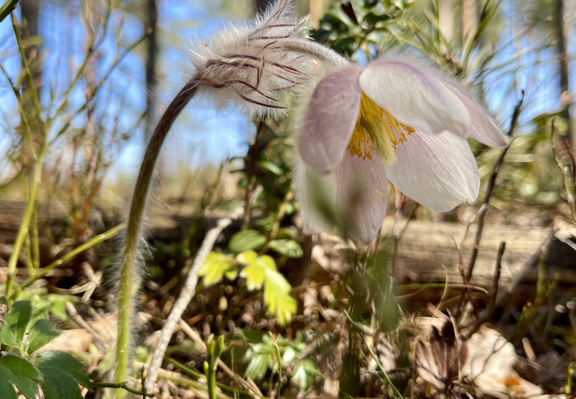 Valokuvaaja: Liisa Niiva-Korpela Valokuvaaja: Liisa Niiva-Korpela