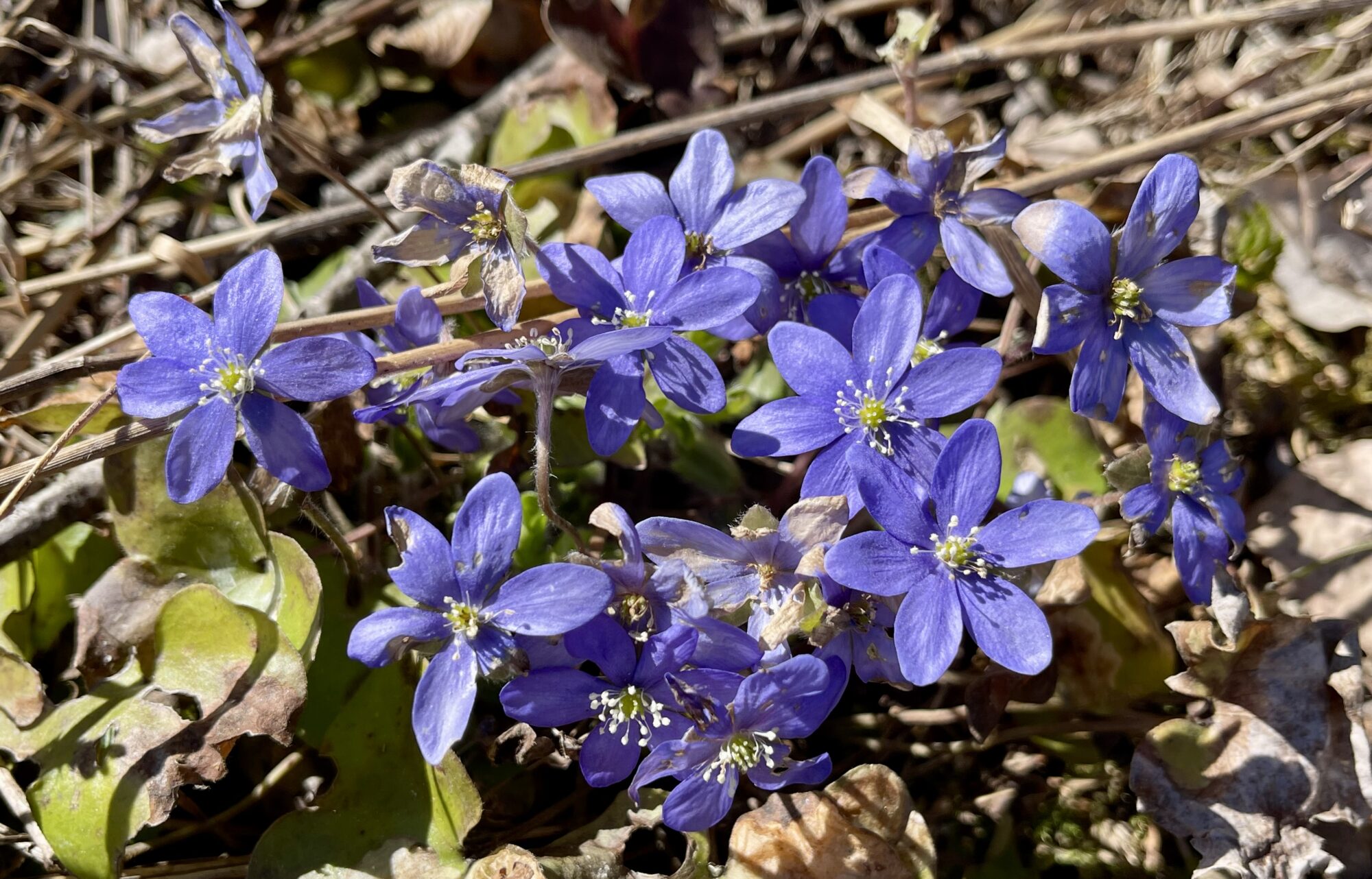 Valokuvaaja: Liisa Niiva-Korpela Valokuvaaja: Liisa Niiva-Korpela