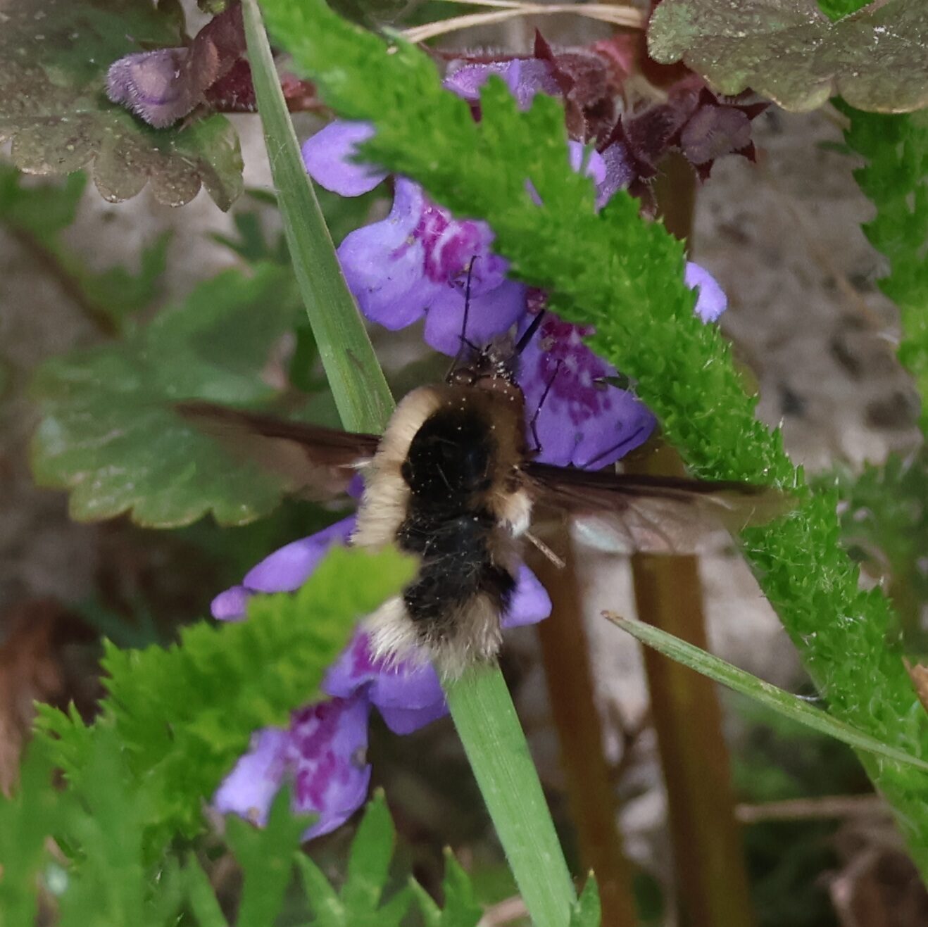 Valokuvaaja: Hanna Rönty