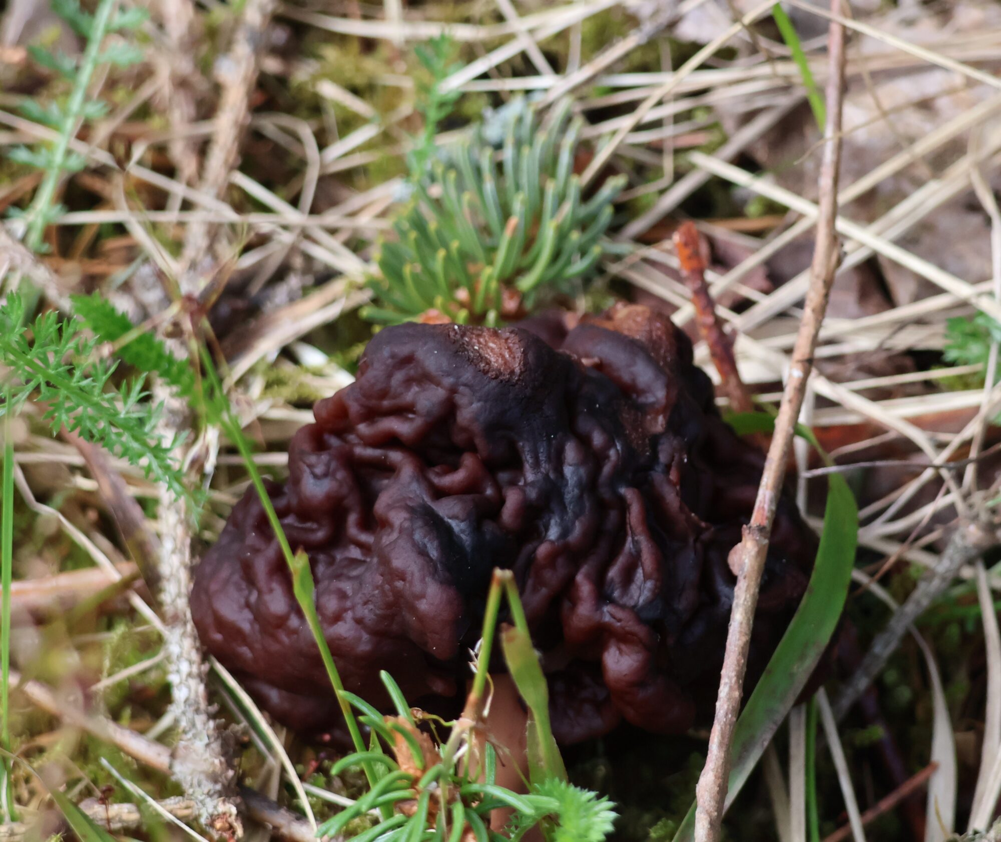 Valokuvaaja: Hanna Rönty