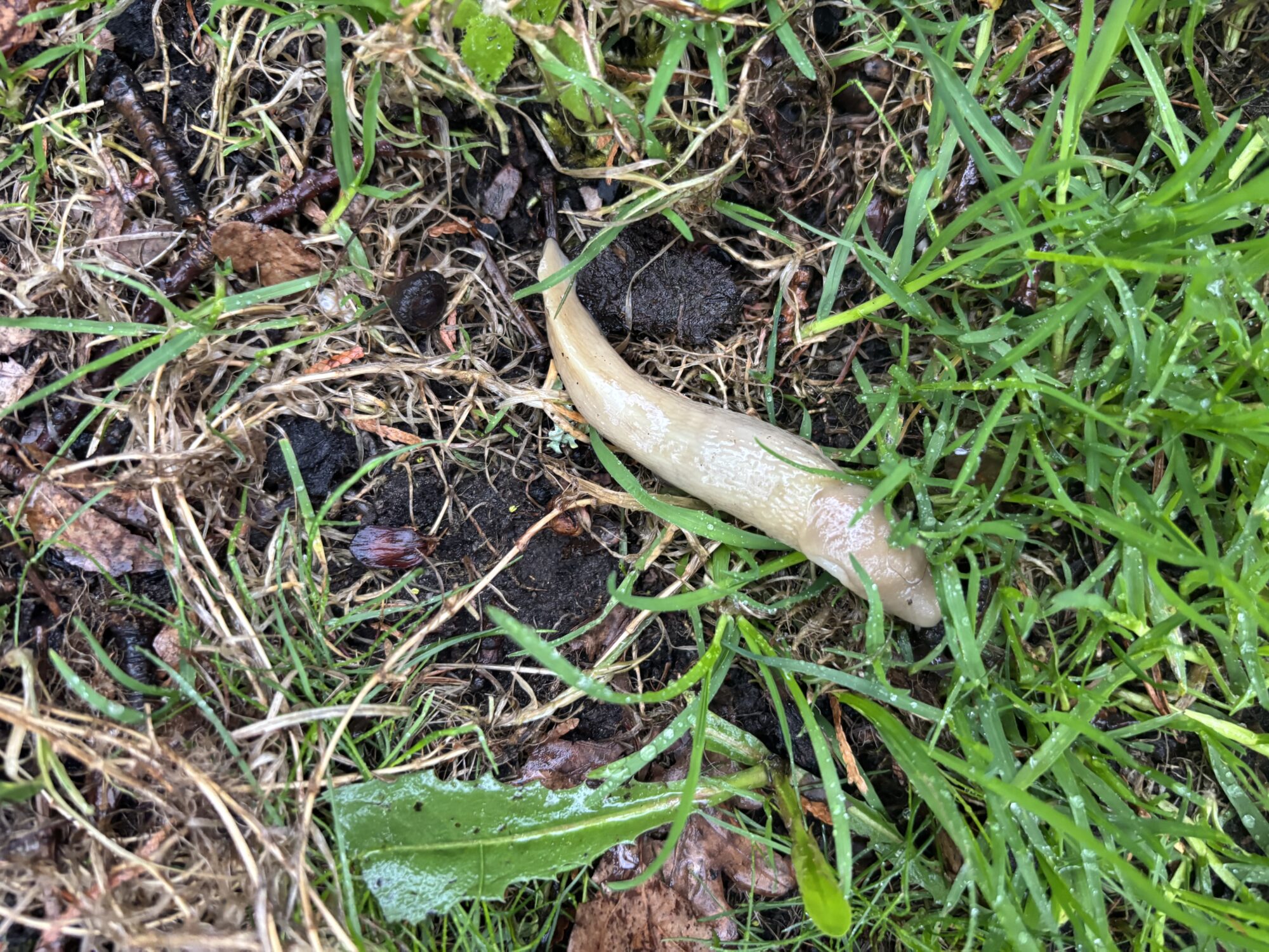 Valokuvaaja: Laura Saarainen