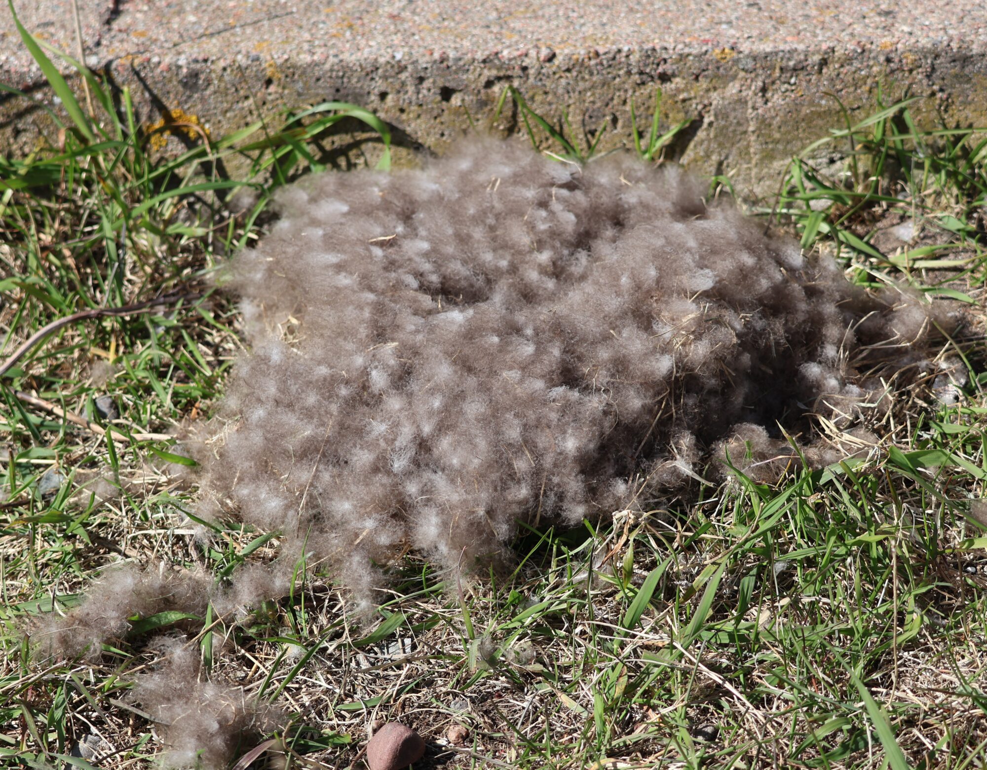 Valokuvaaja: Hanna Rönty