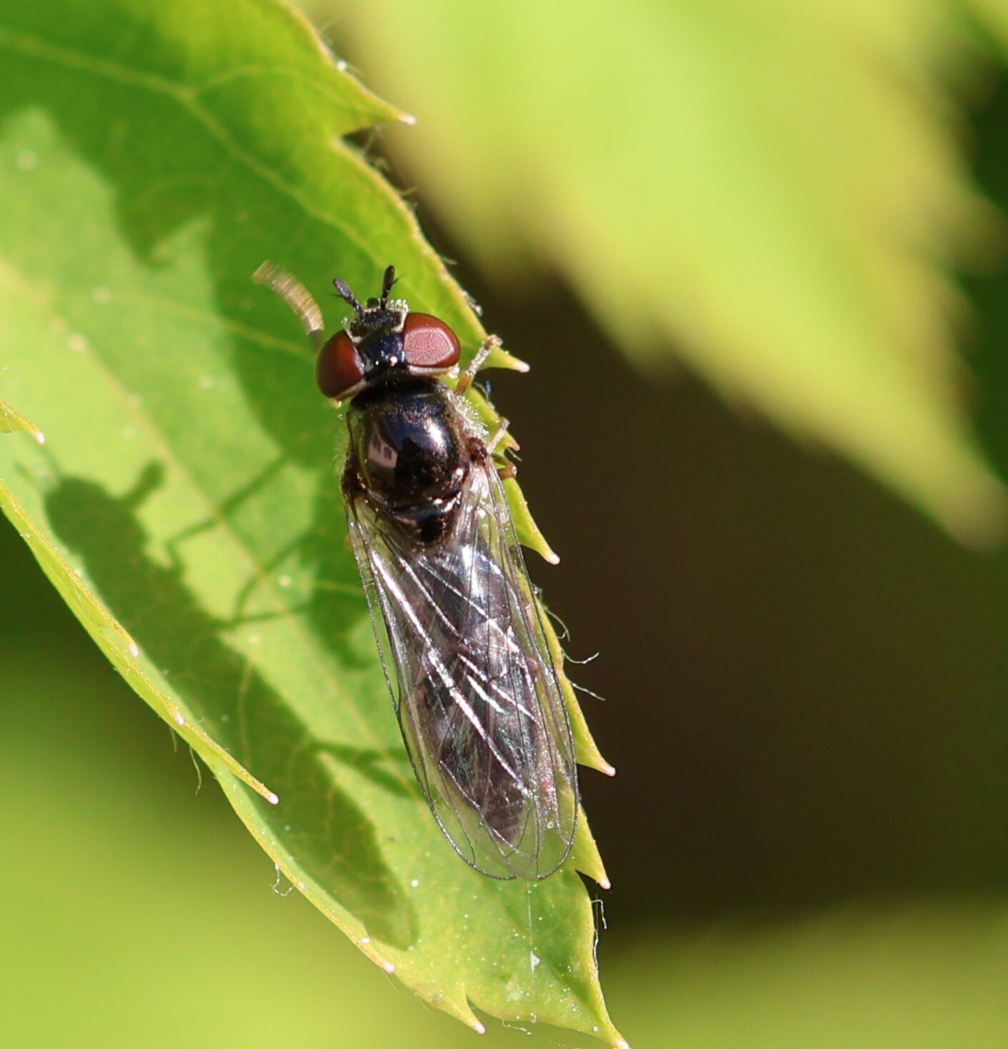 Valokuvaaja: Hanna Rönty