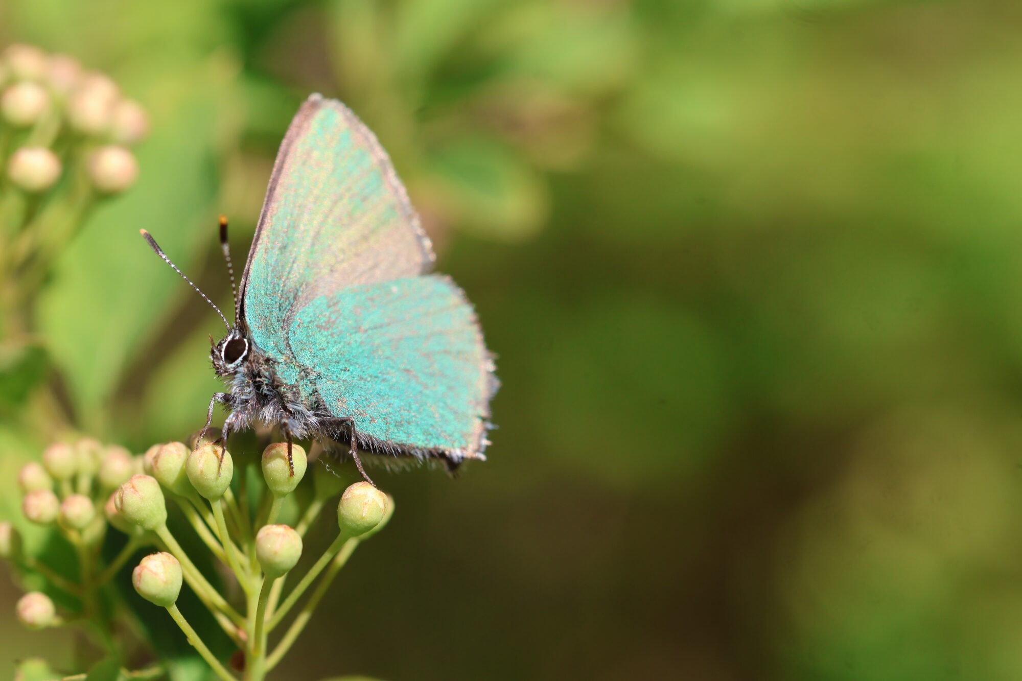 Valokuvaaja: Hanna Rönty