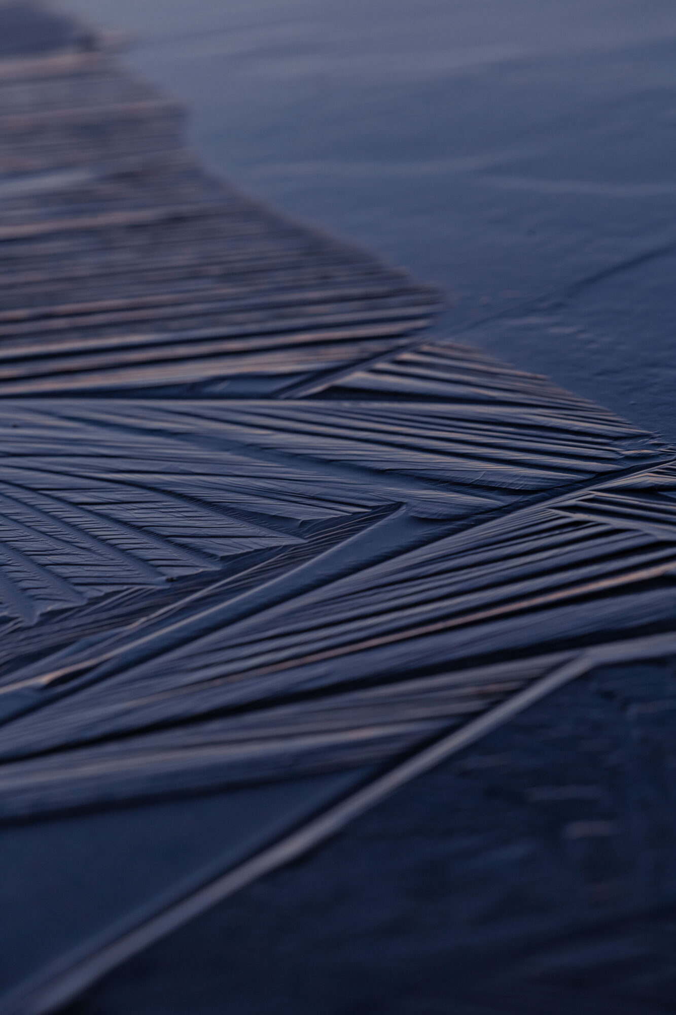 Valokuvaaja: Johanna Lempinen