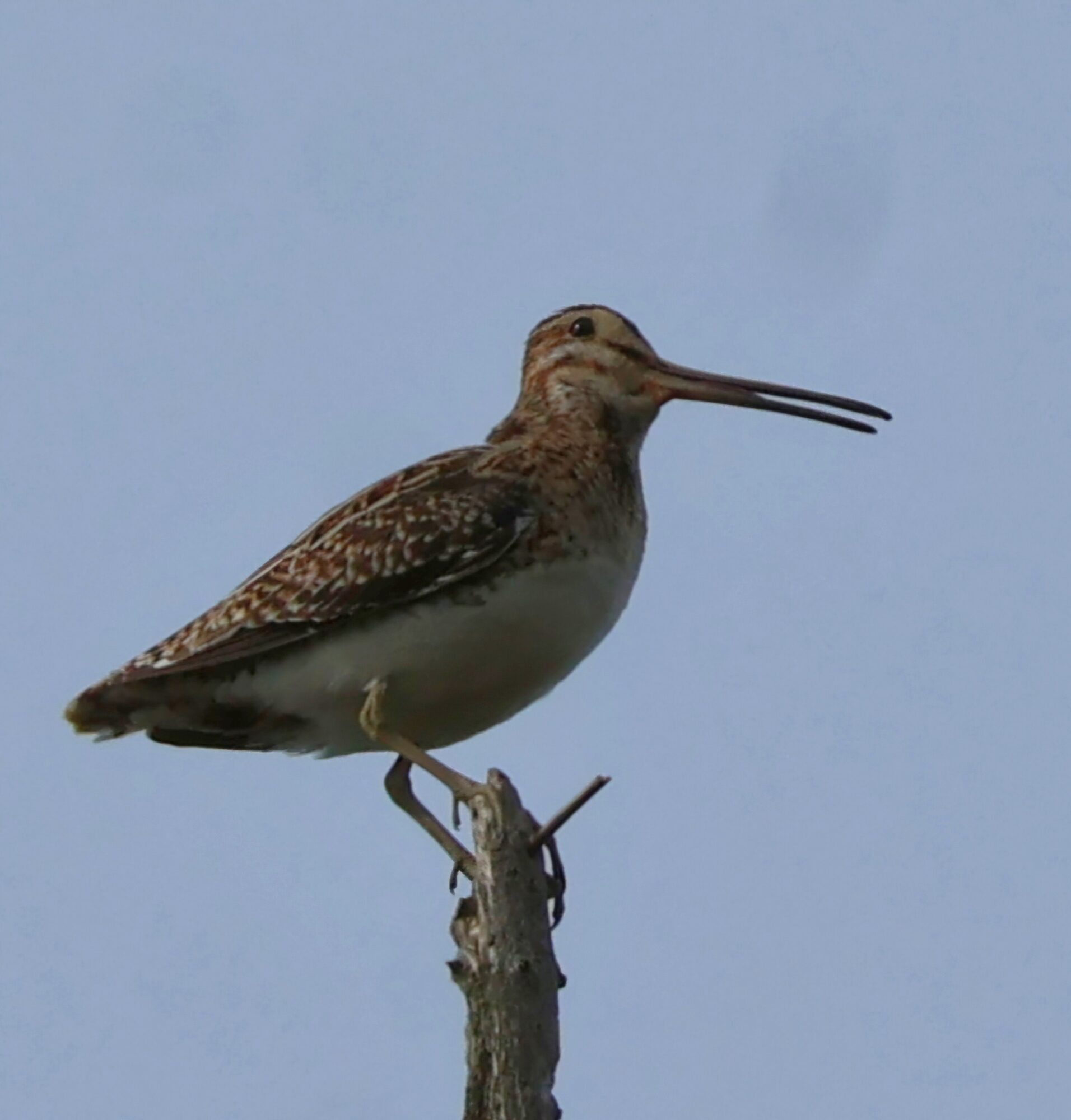 Valokuvaaja: Hanna Rönty