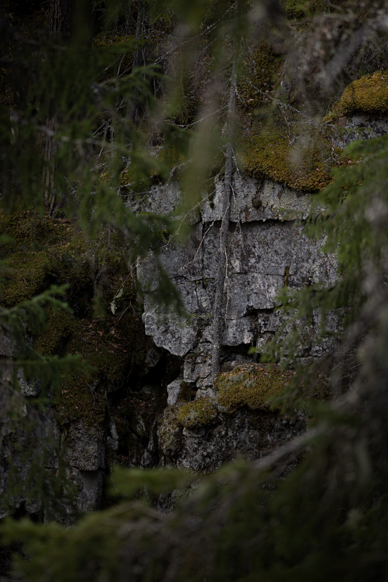 Valokuvaaja: Johanna Lempinen