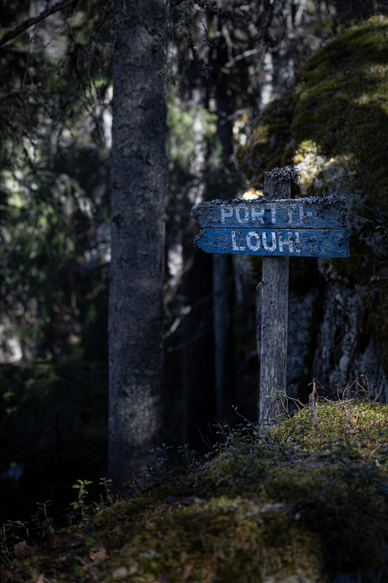 Valokuvaaja: Johanna Lempinen