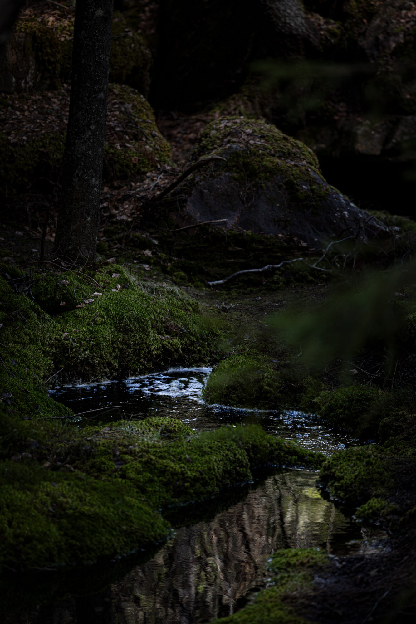 Valokuvaaja: Johanna Lempinen