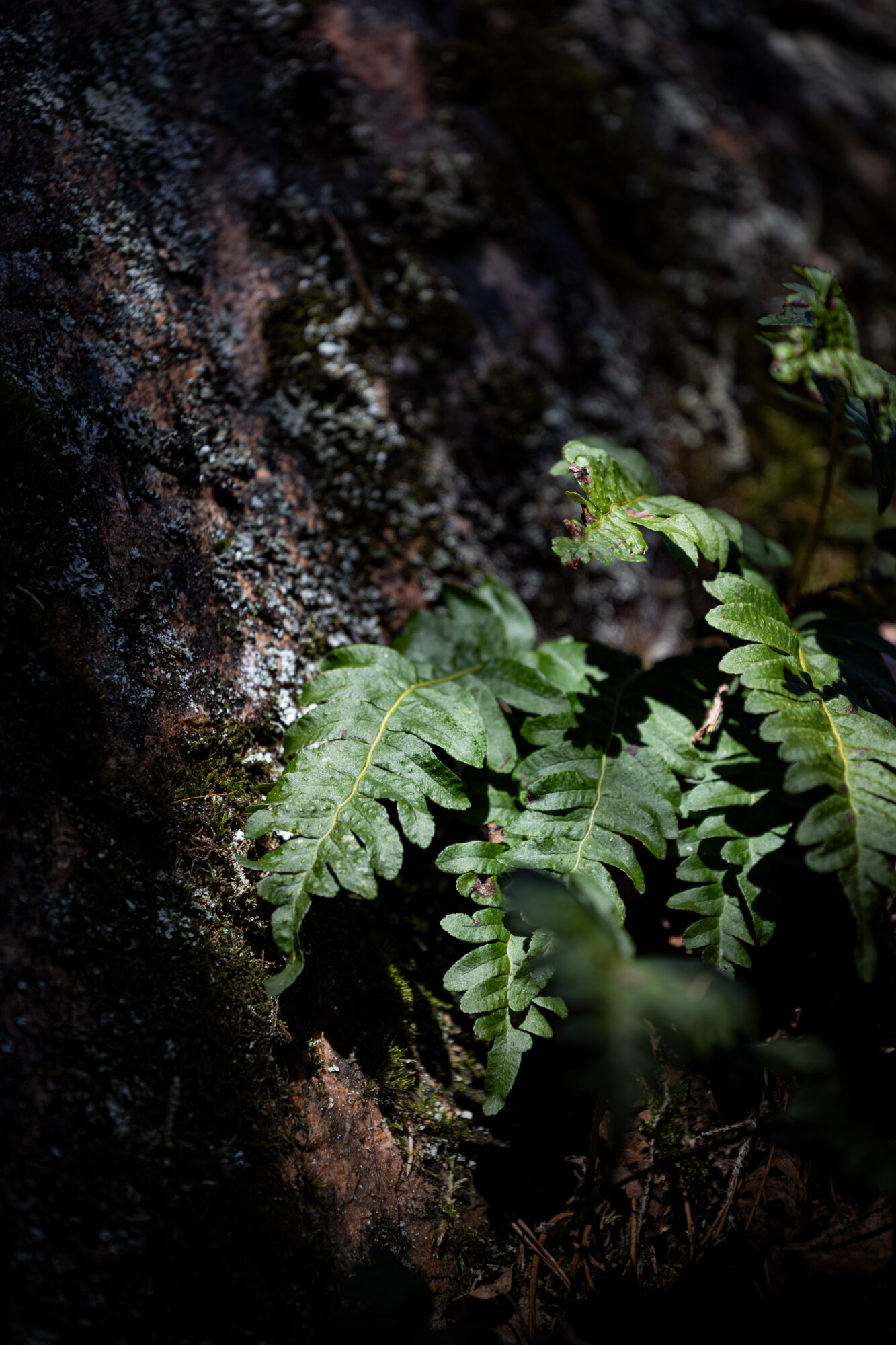 Valokuvaaja: Johanna Lempinen