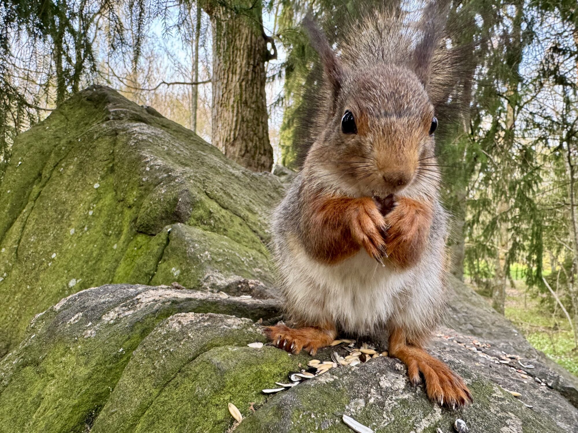 Valokuvaaja: Juhani Peltonen