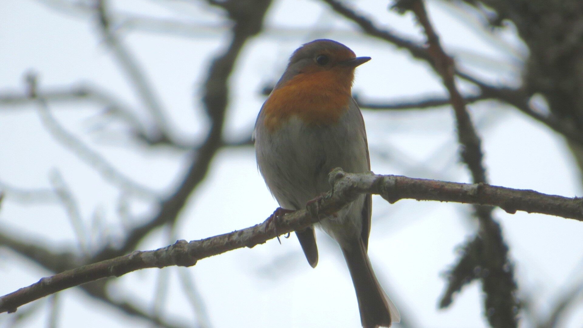 Valokuvaaja: Risto Kangassalo