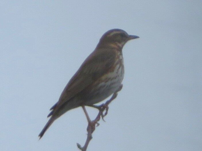 Valokuvaaja: Risto Kangassalo