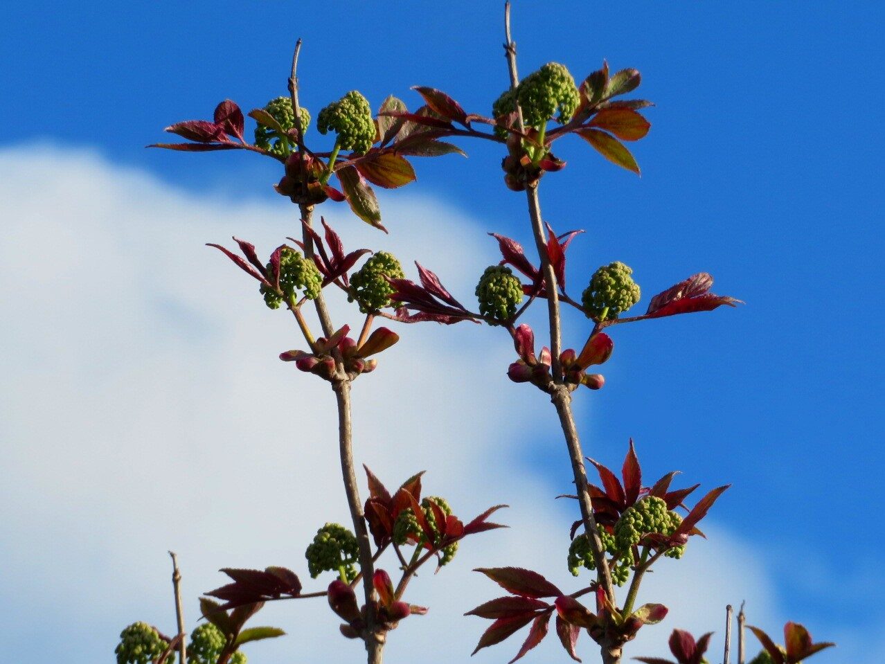 Valokuvaaja: Risto Kangassalo