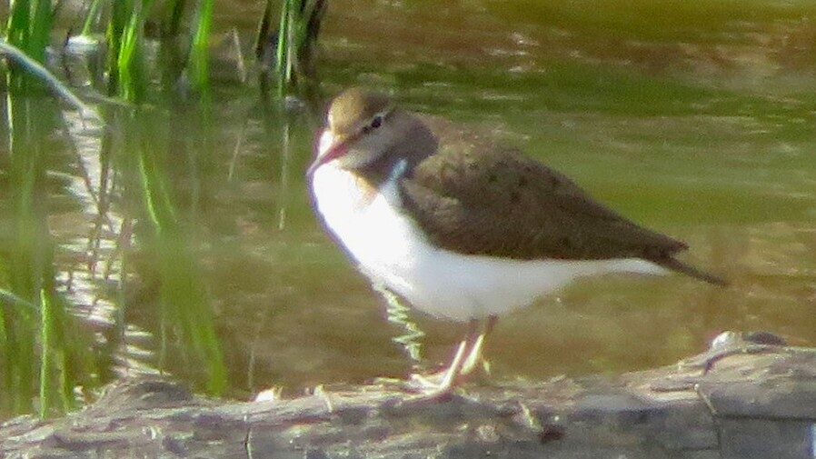 Valokuvaaja: Risto Kangassalo Valokuvaaja: Risto Kangassalo