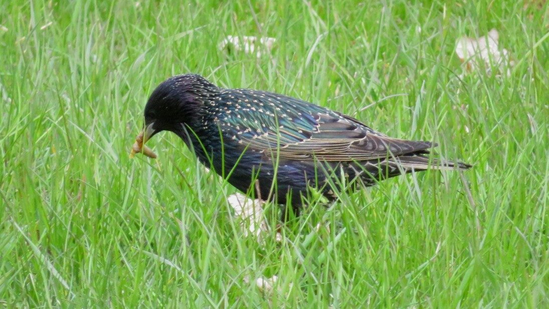 Valokuvaaja: Risto Kangassalo Valokuvaaja: Risto Kangassalo