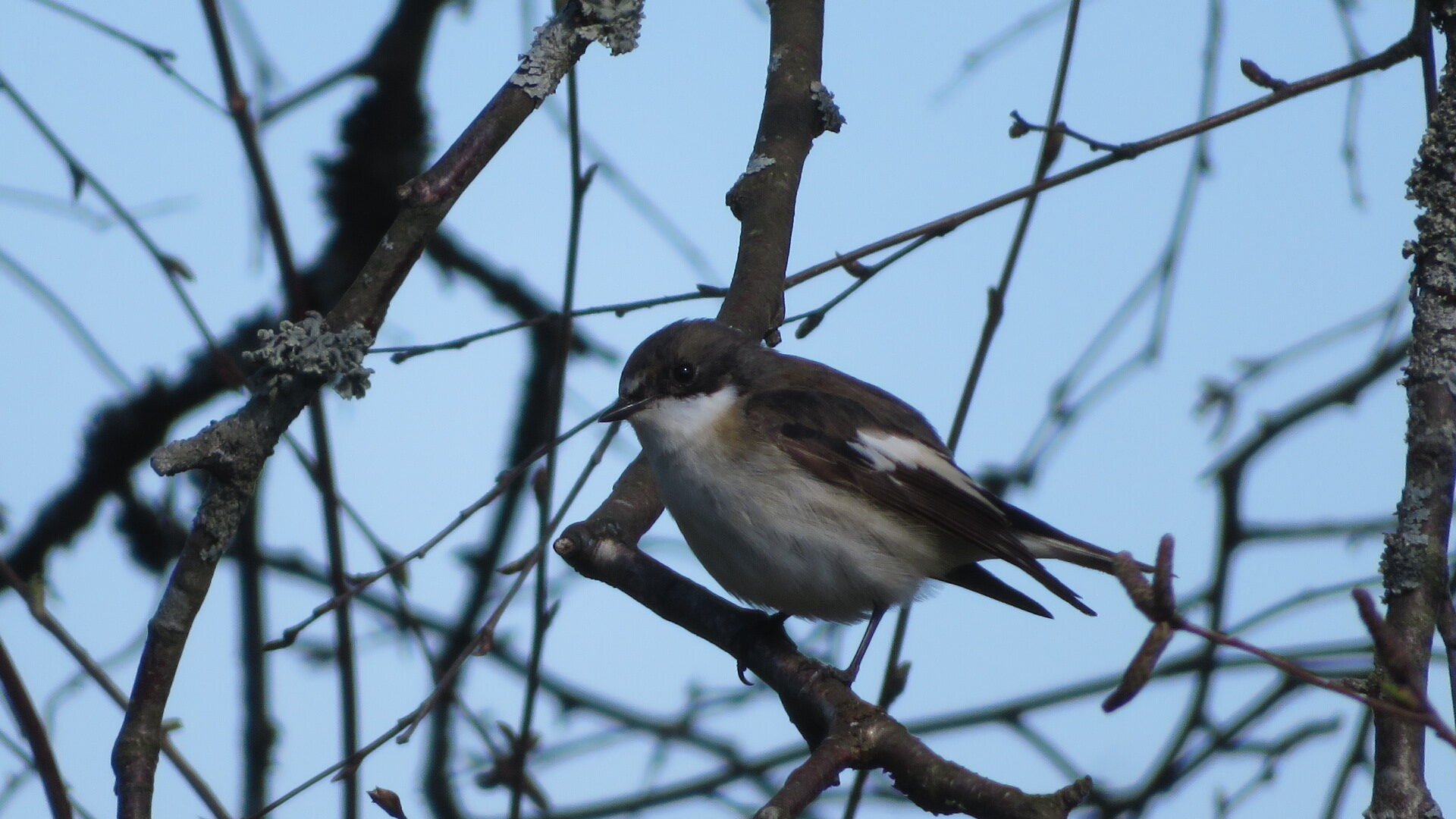 Valokuvaaja: Risto Kangassalo Valokuvaaja: Risto Kangassalo