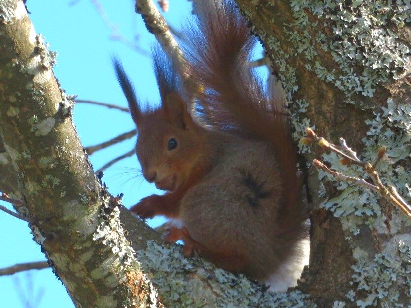 Valokuvaaja: Risto Kangassalo
