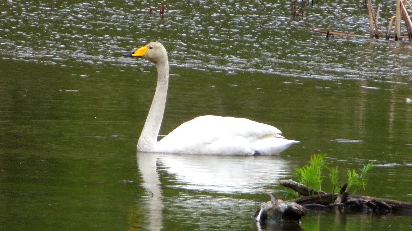 Valokuvaaja: Risto Kangassalo