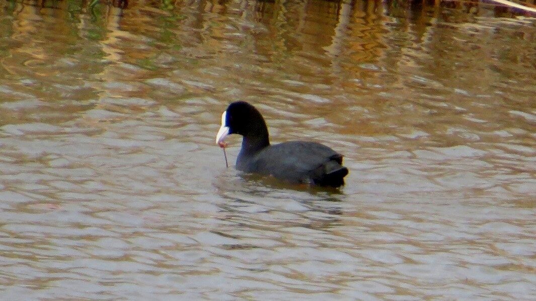 Valokuvaaja: Risto Kangassalo