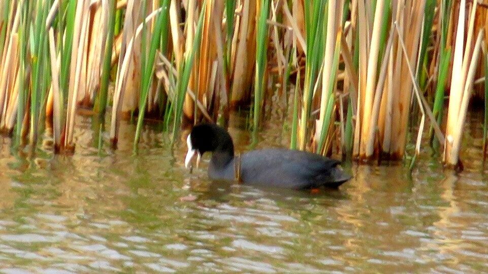 Valokuvaaja: Risto Kangassalo