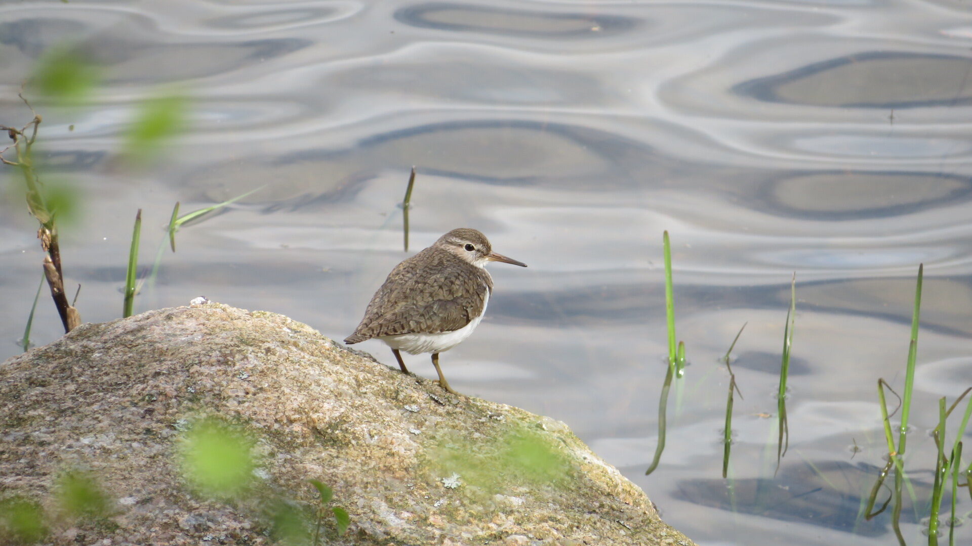 Valokuvaaja: Risto Kangassalo Valokuvaaja: Risto Kangassalo