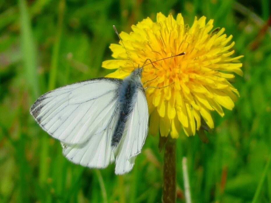 Valokuvaaja: Risto Kangassalo