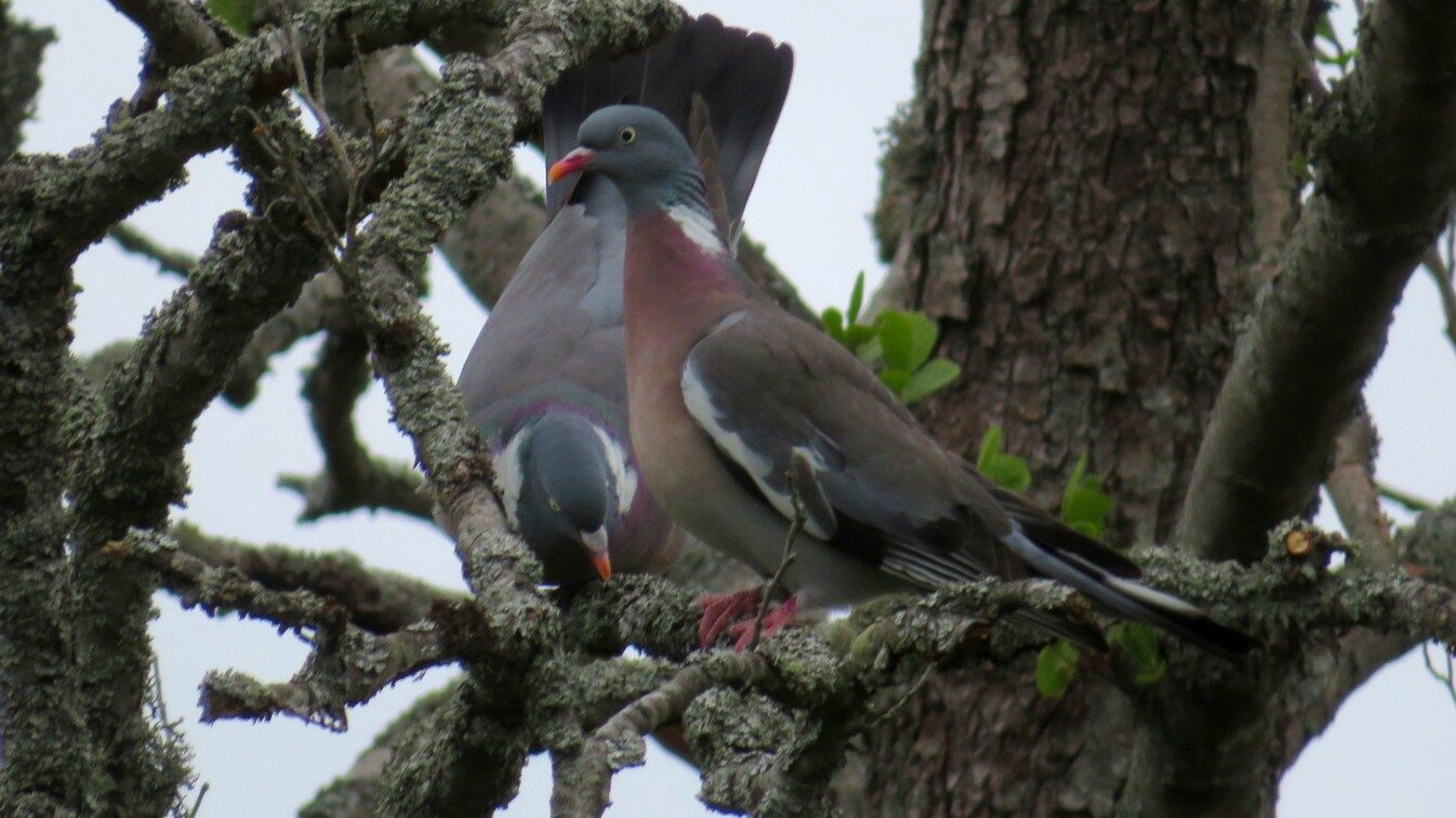 Valokuvaaja: Risto Kangassalo