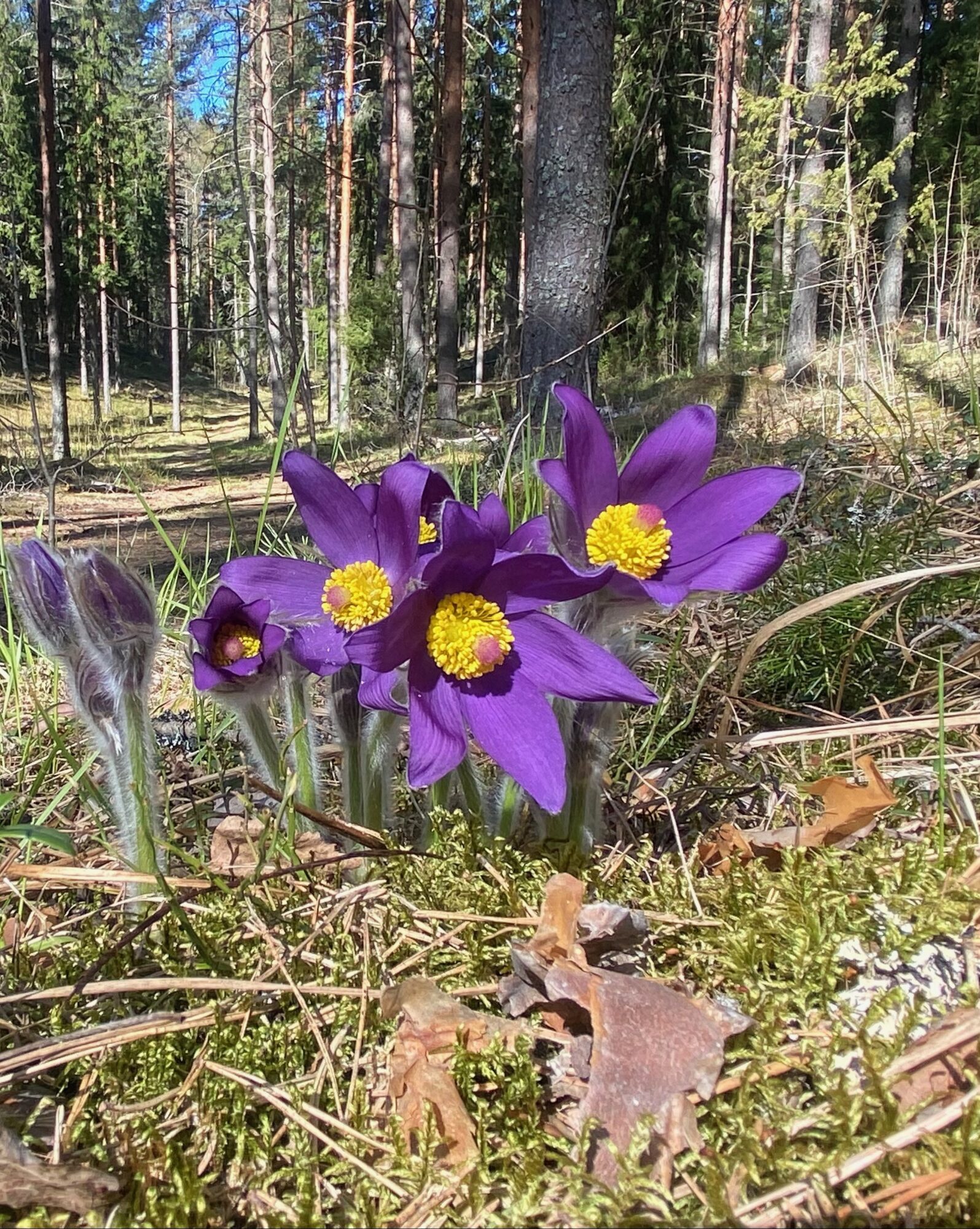 Valokuvaaja: Markku Ranta-Eilola Valokuvaaja: Markku Ranta-Eilola