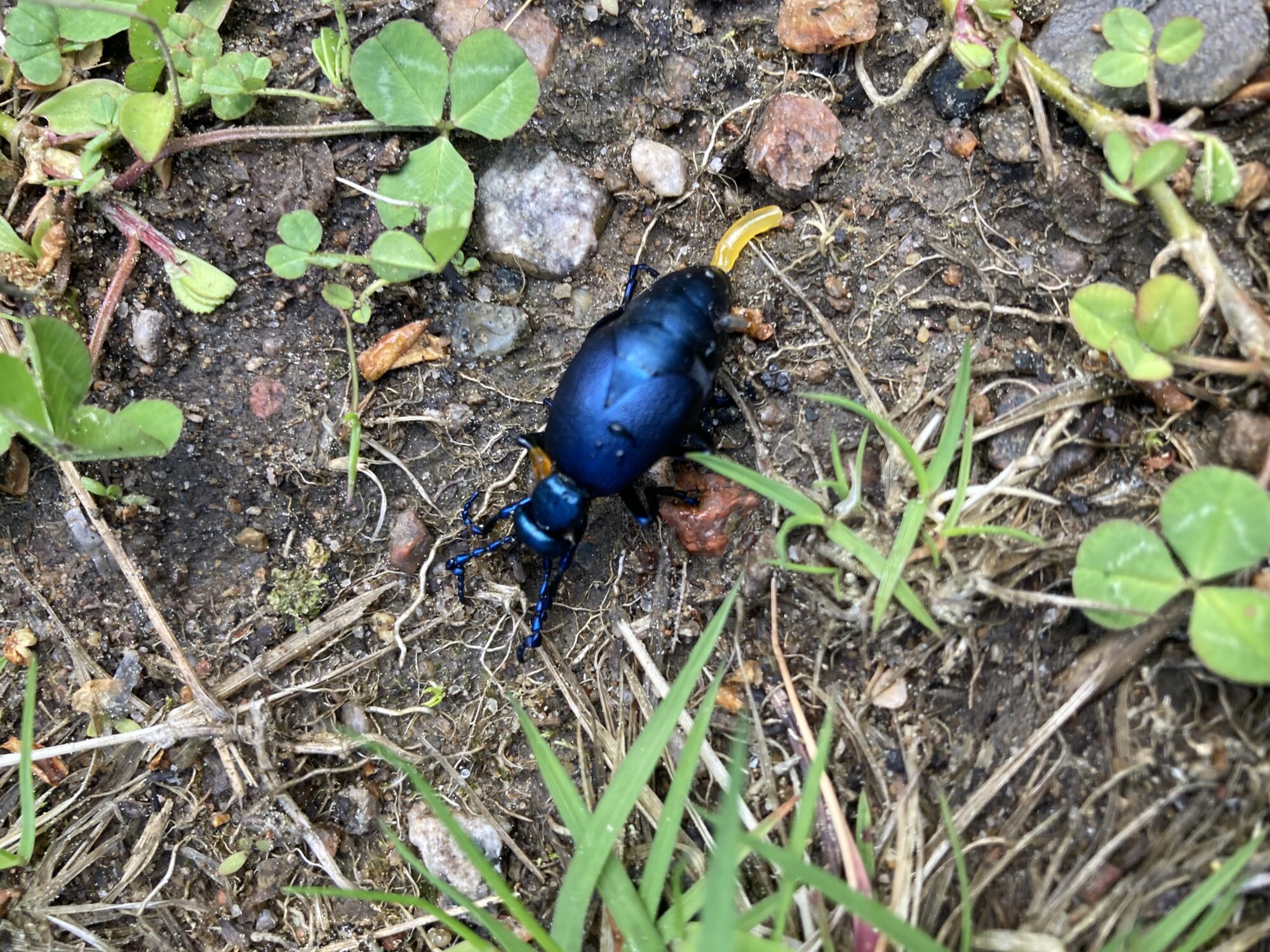 Valokuvaaja: Ville Saarela