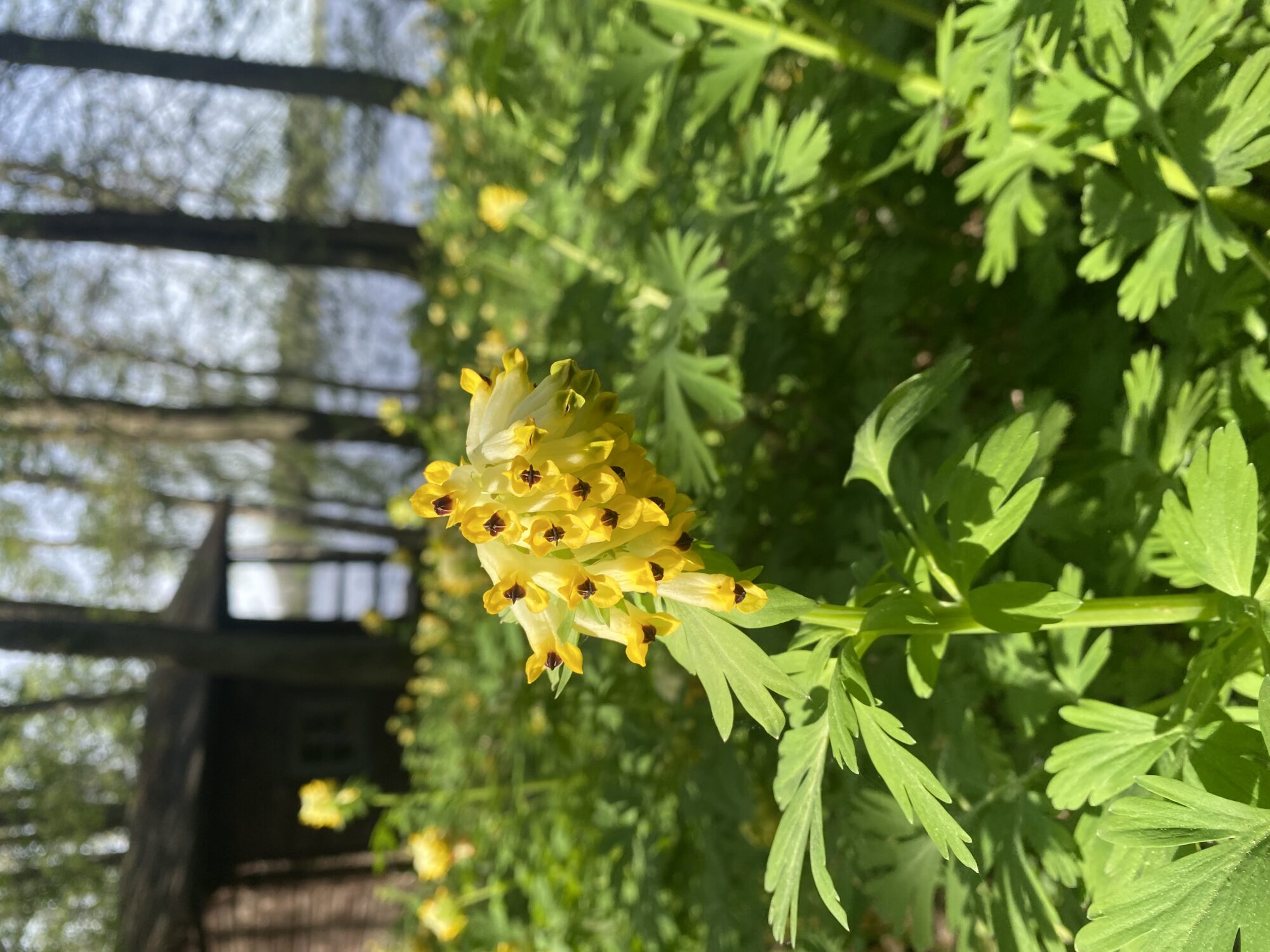 Valokuvaaja: Markku Ranta-Eilola