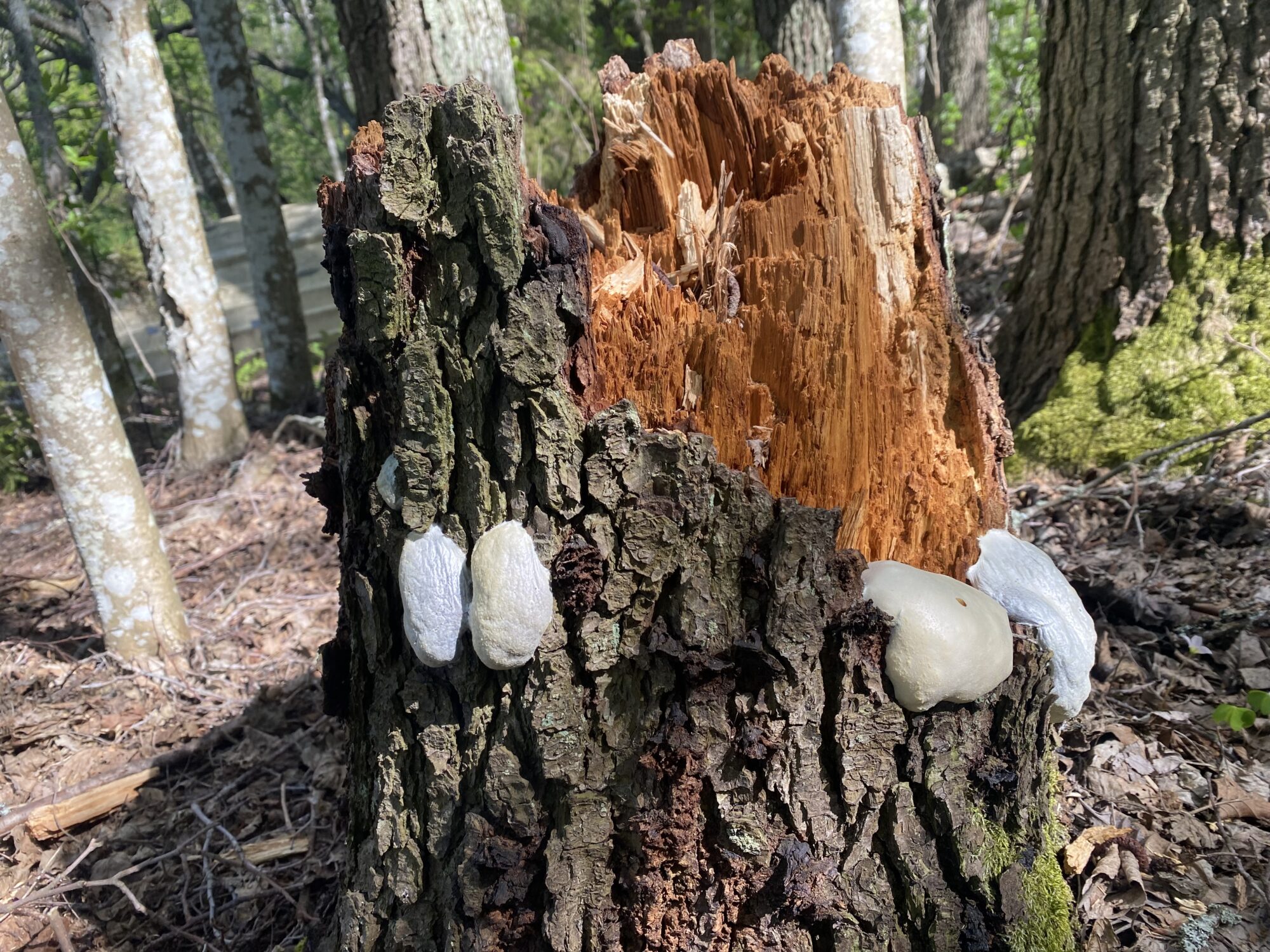 Valokuvaaja: Markku Ranta-Eilola