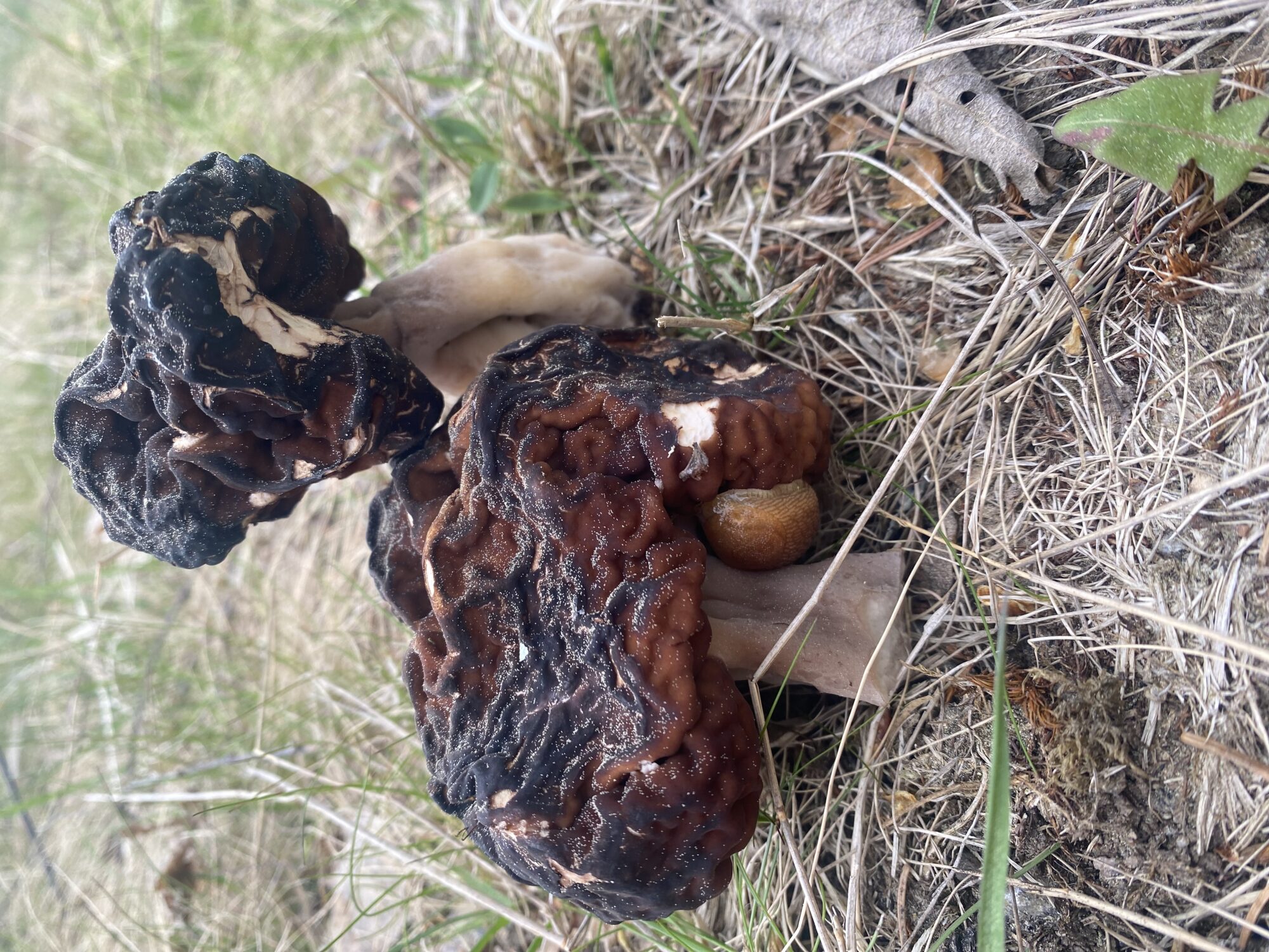 Valokuvaaja: Markku Ranta-Eilola