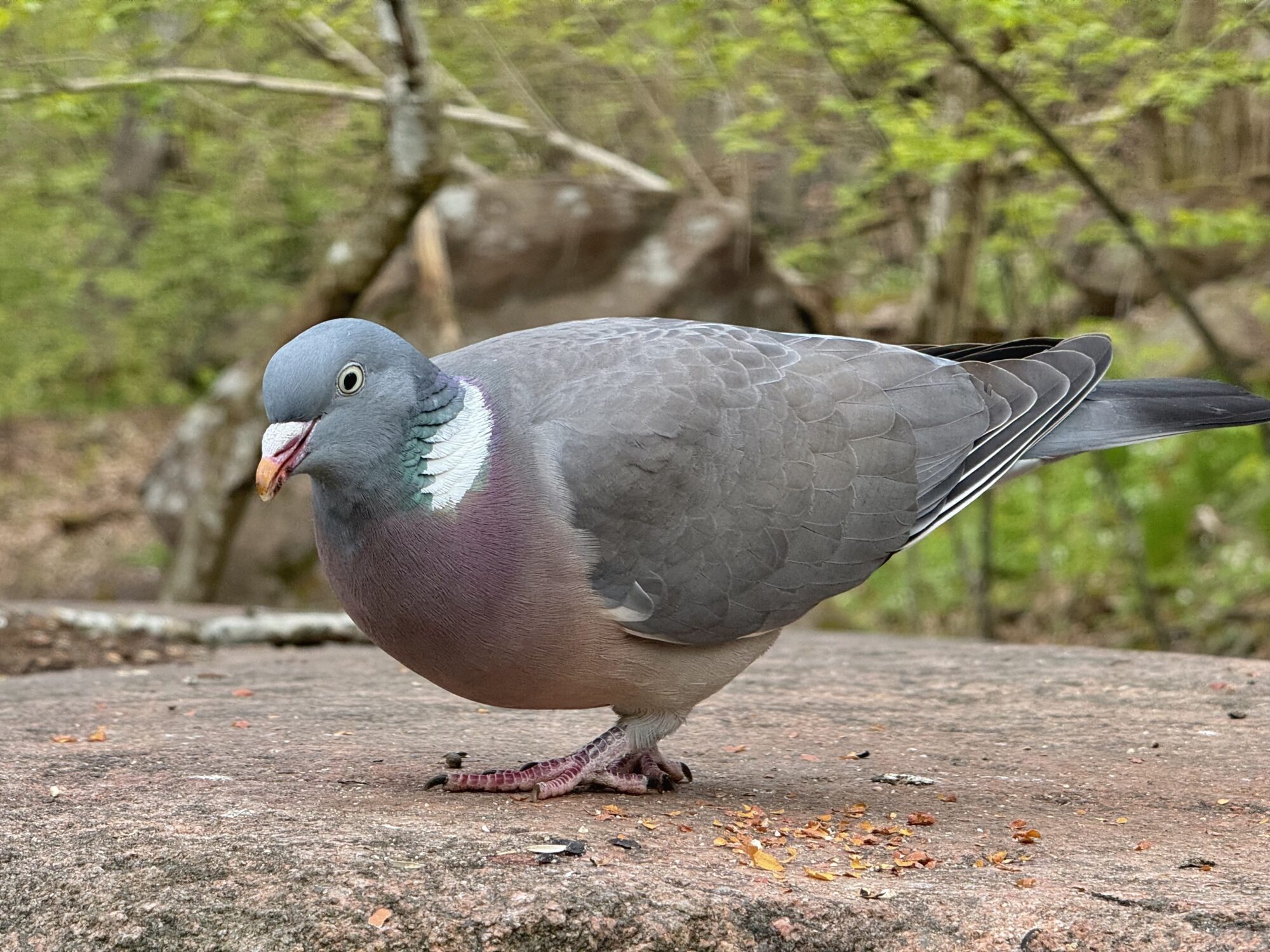 Valokuvaaja: Juhani Peltonen